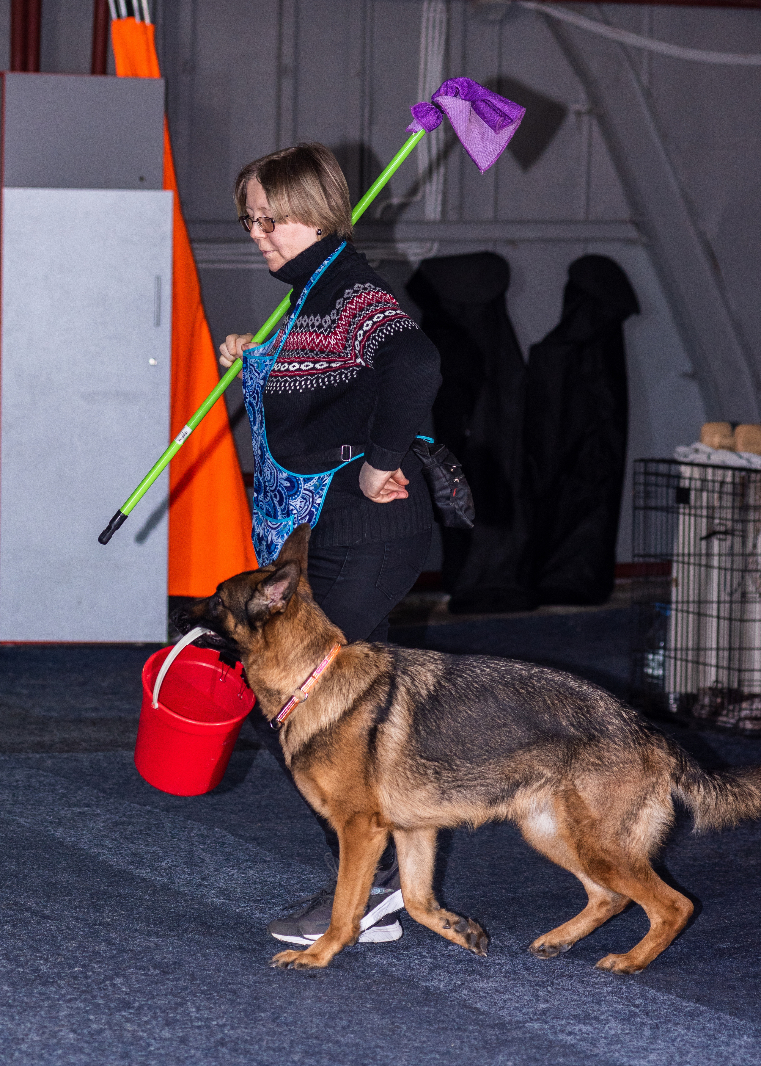 Танцы с собаками!. Дог-фотограф в Тюмени Александра Королева