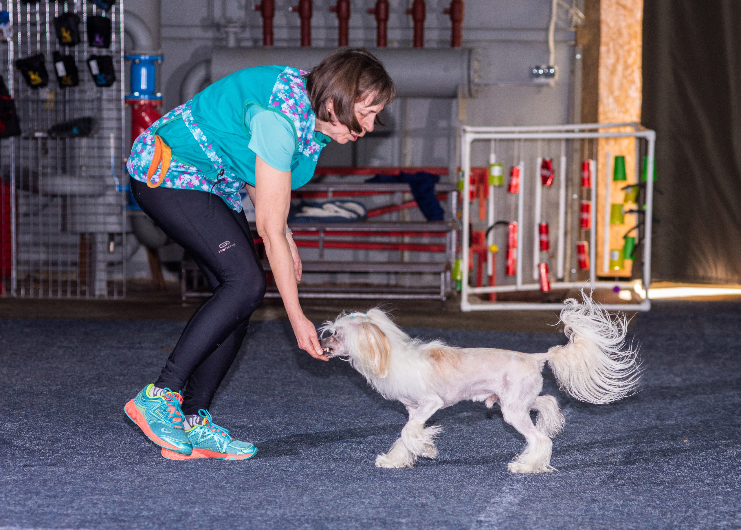 Танцы с собаками!. Дог-фотограф в Тюмени Александра Королева