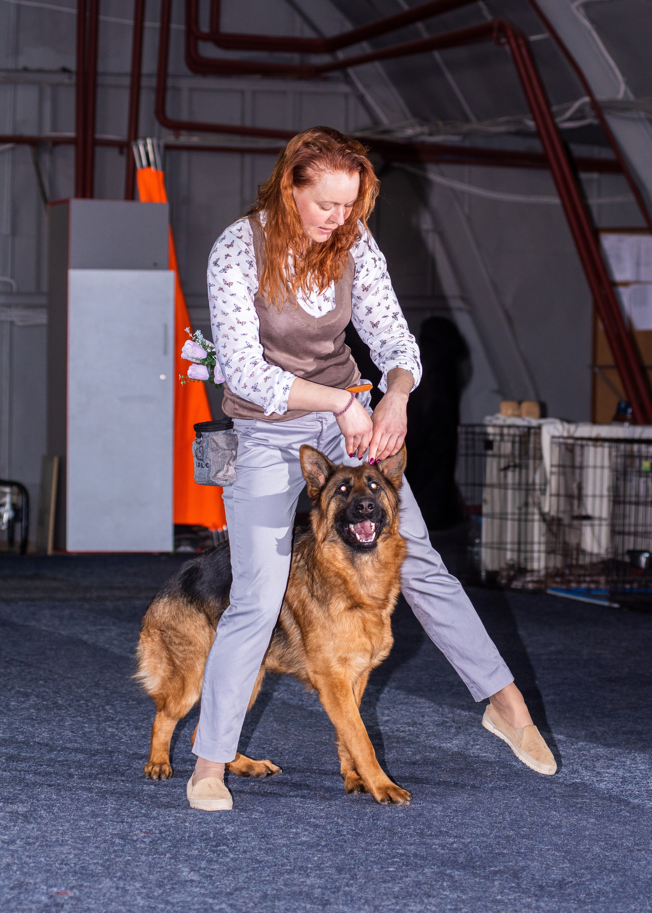 Танцы с собаками!. Дог-фотограф в Тюмени Александра Королева
