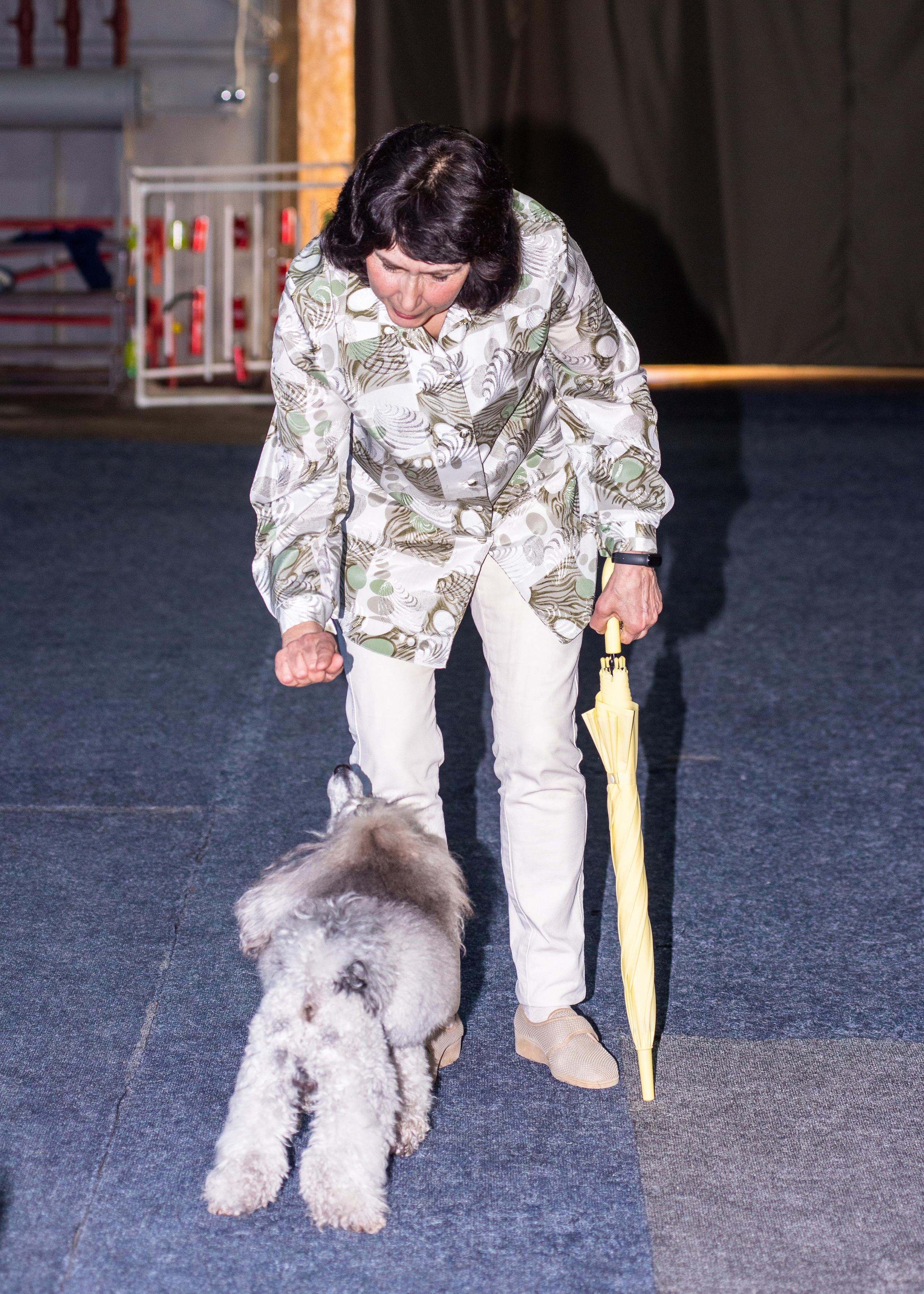 Танцы с собаками!. Дог-фотограф в Тюмени Александра Королева