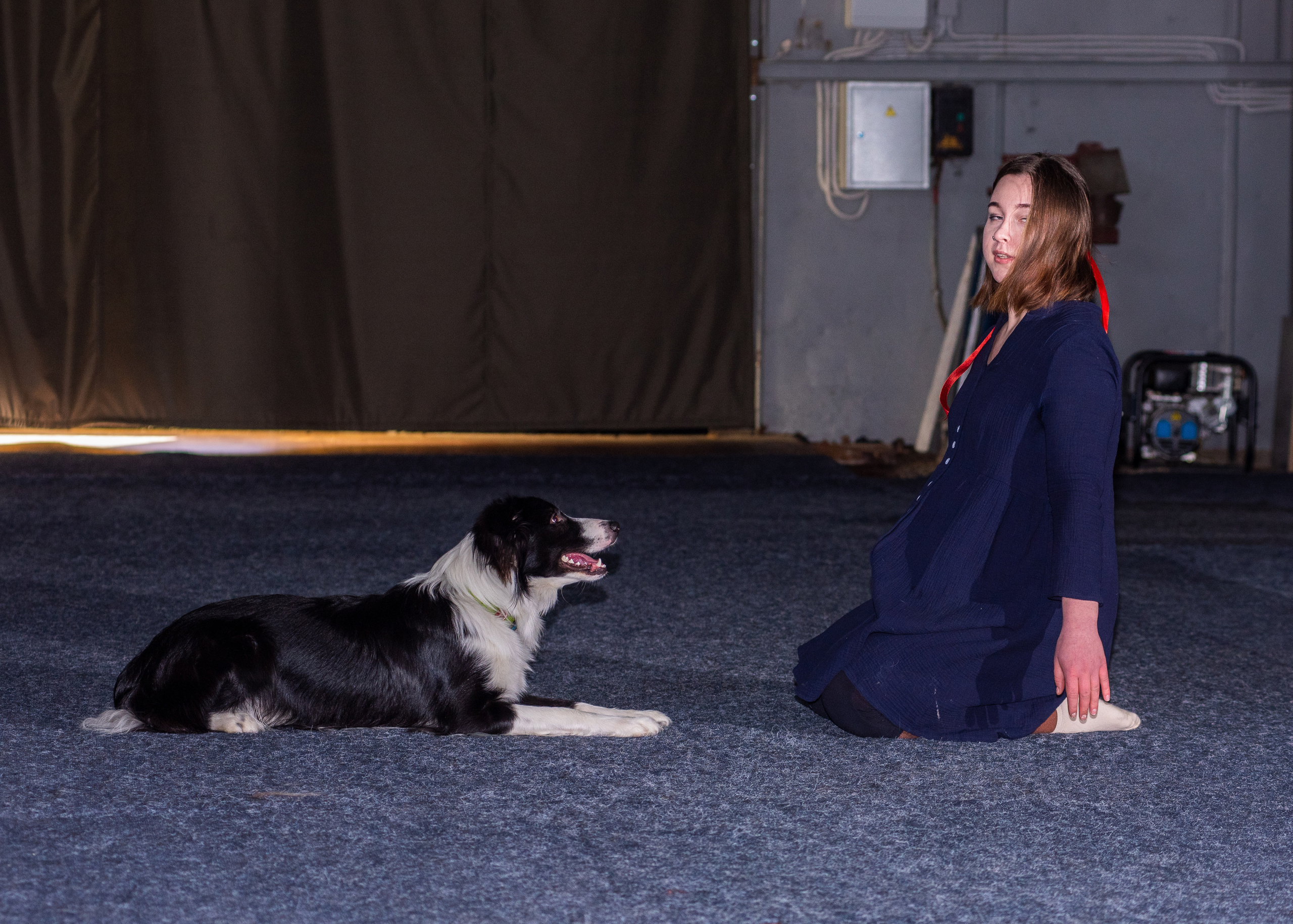 Танцы с собаками!. Дог-фотограф в Тюмени Александра Королева