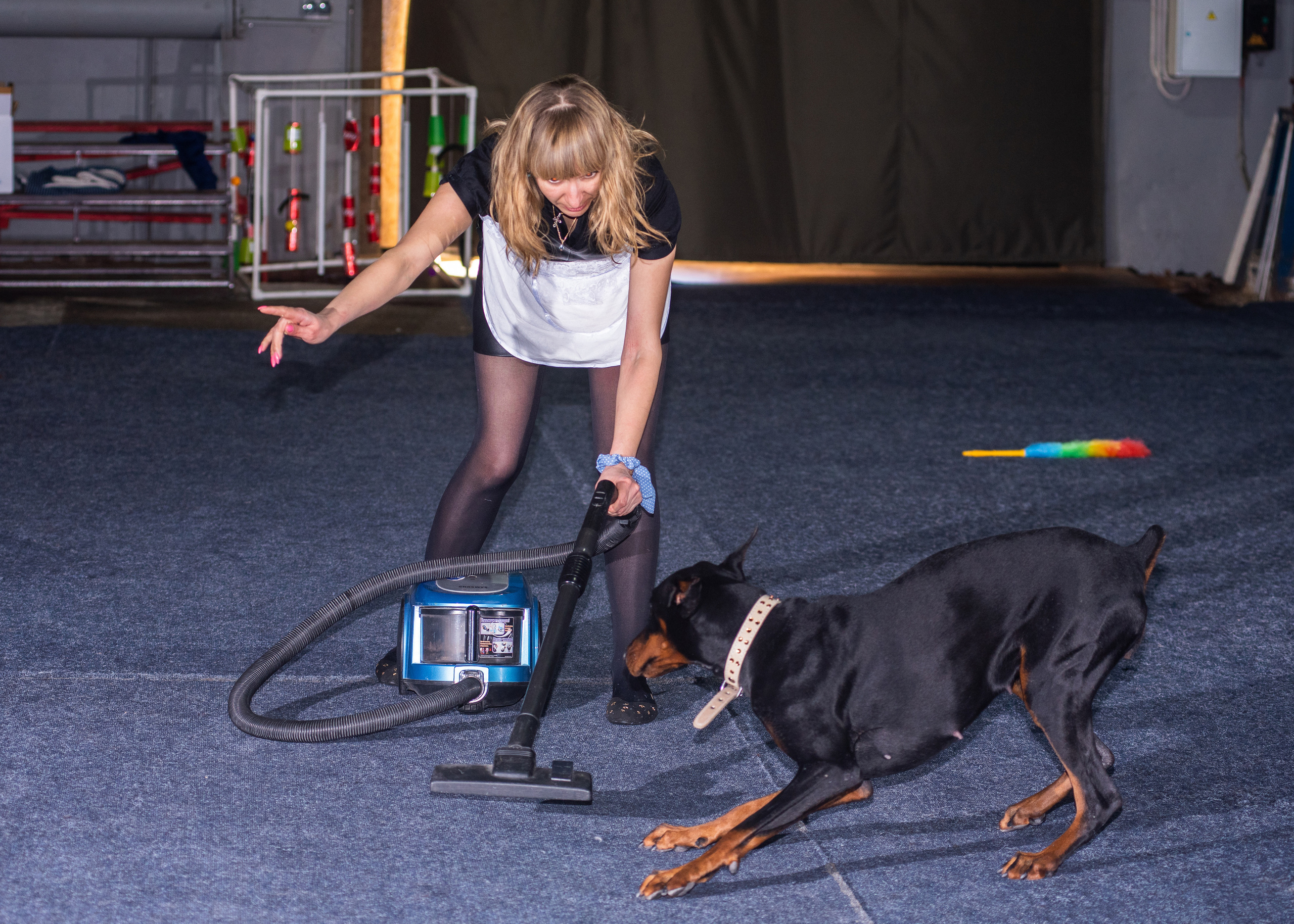 Танцы с собаками!. Дог-фотограф в Тюмени Александра Королева