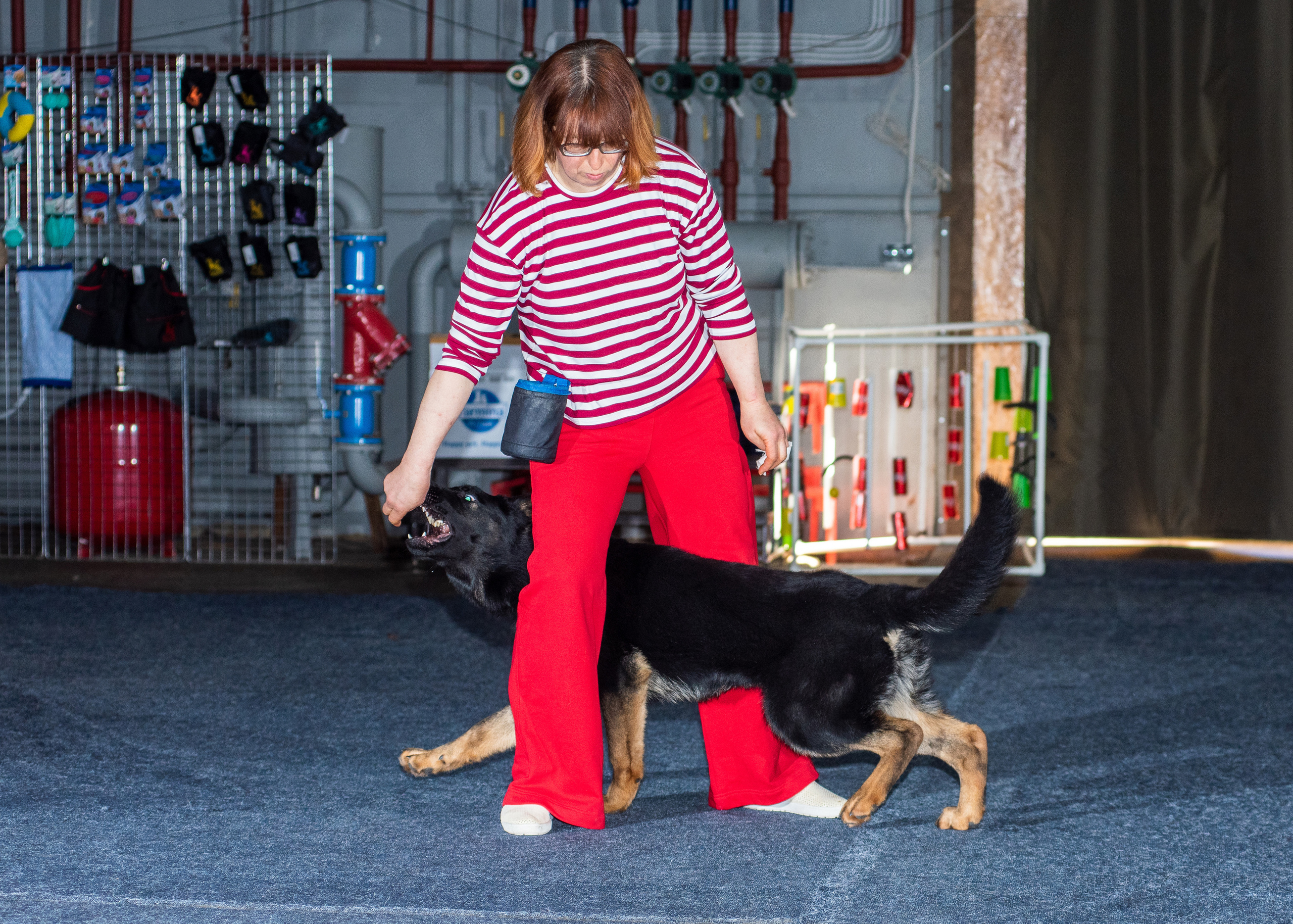 Танцы с собаками!. Дог-фотограф в Тюмени Александра Королева