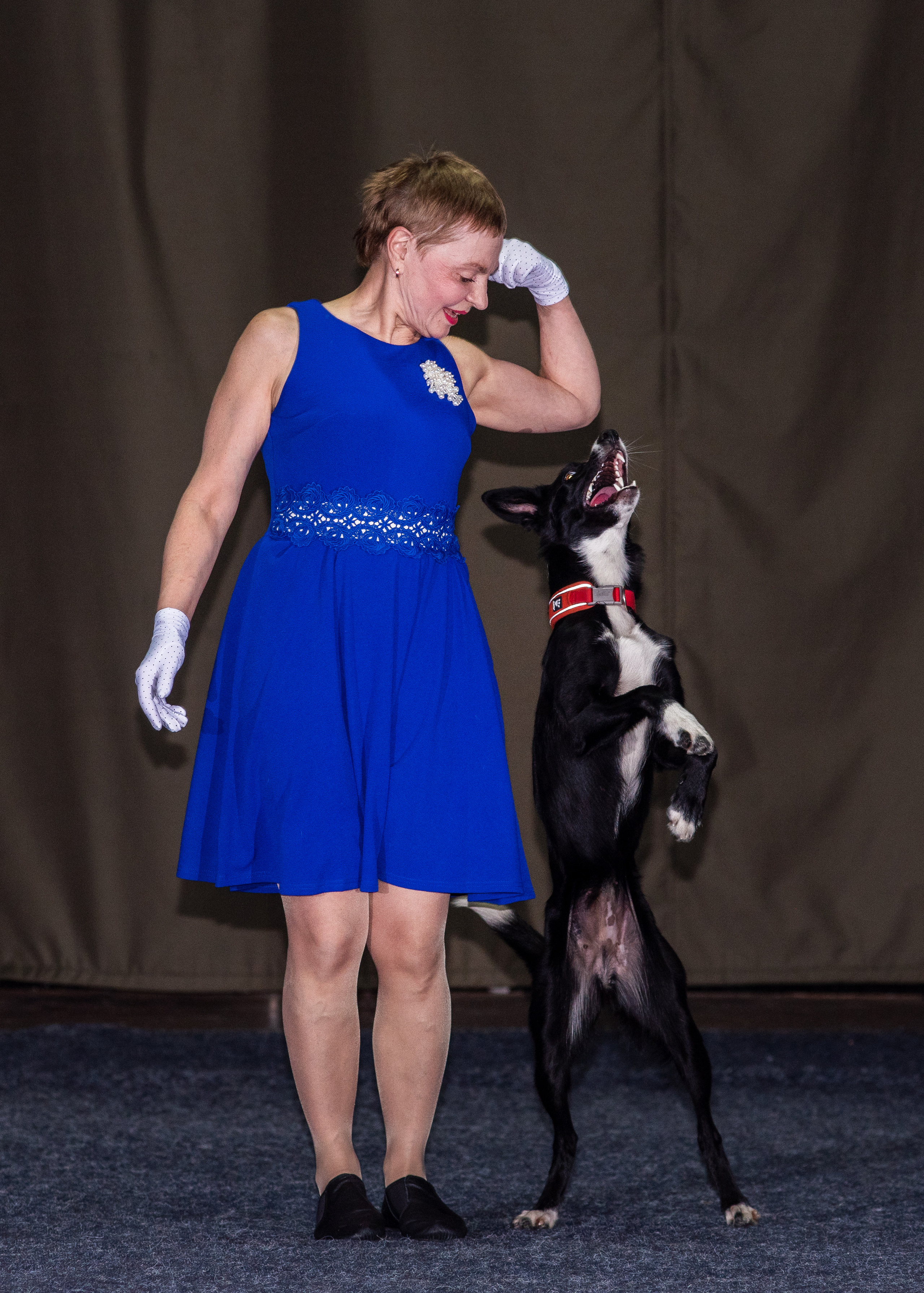 Танцы с собаками!. Дог-фотограф в Тюмени Александра Королева