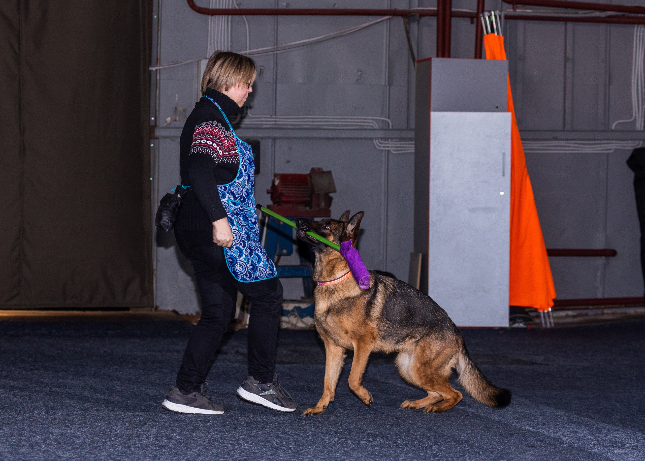 Танцы с собаками!. Дог-фотограф в Тюмени Александра Королева