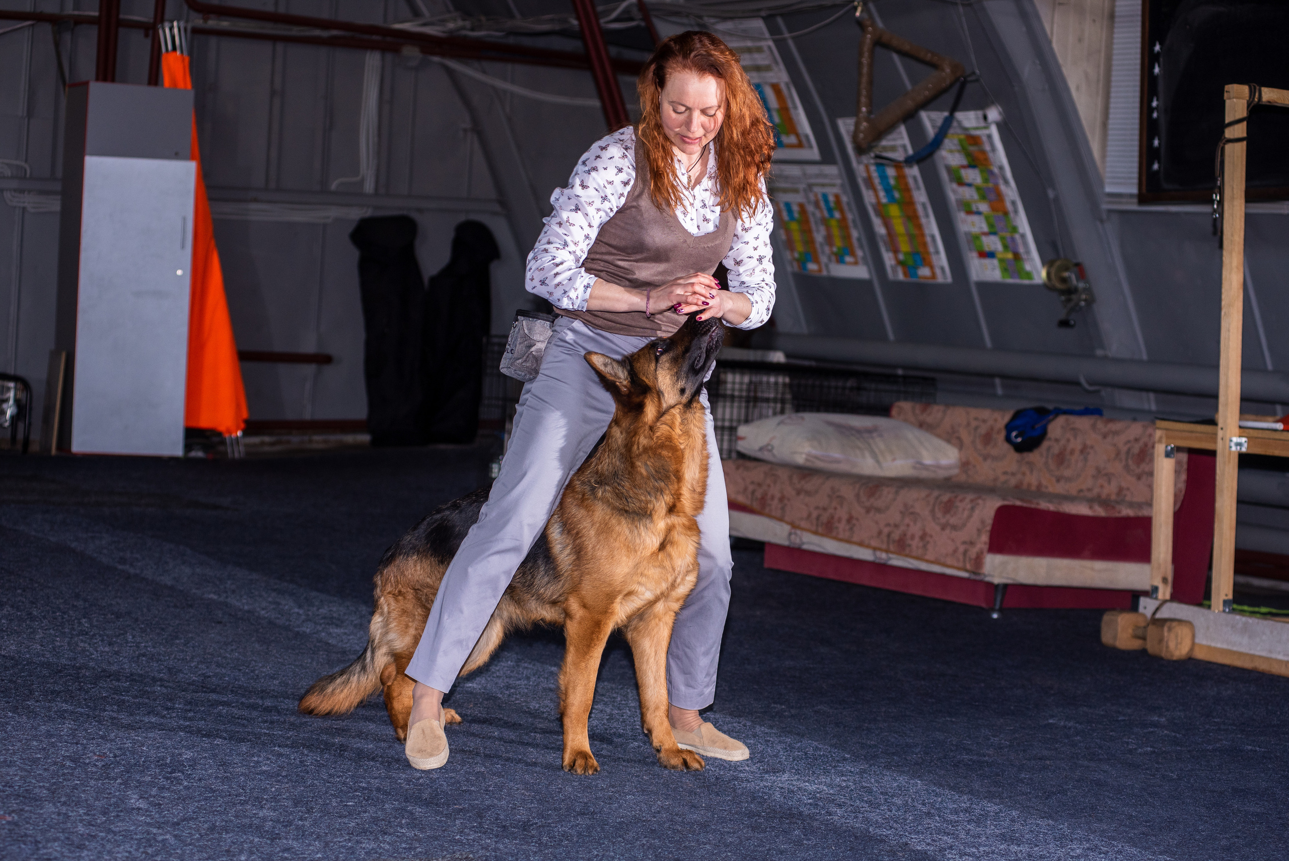 Танцы с собаками!. Дог-фотограф в Тюмени Александра Королева