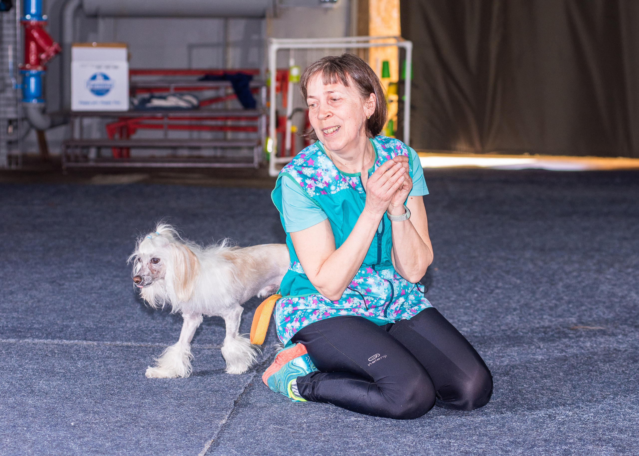Танцы с собаками!. Дог-фотограф в Тюмени Александра Королева