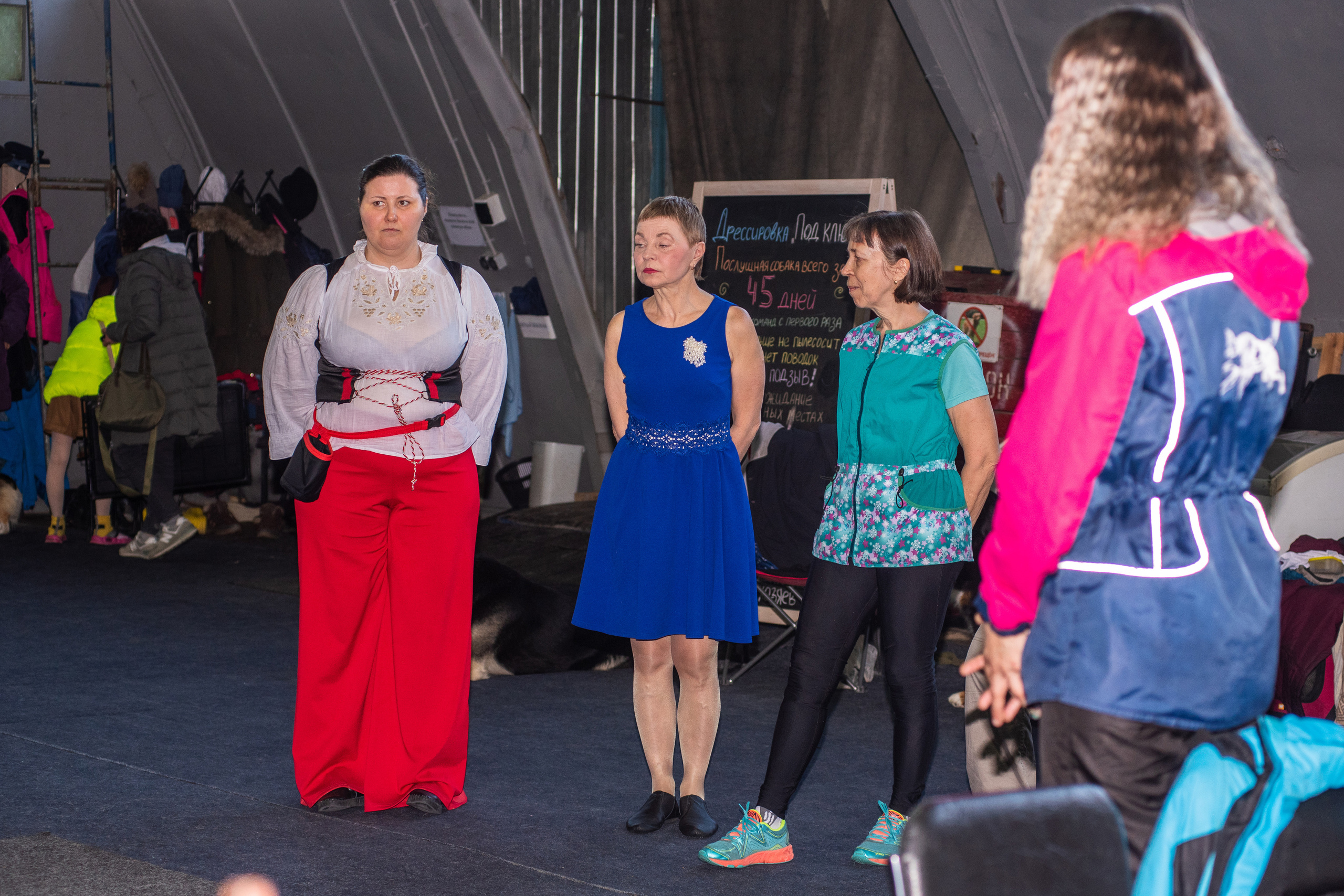 Танцы с собаками!. Дог-фотограф в Тюмени Александра Королева