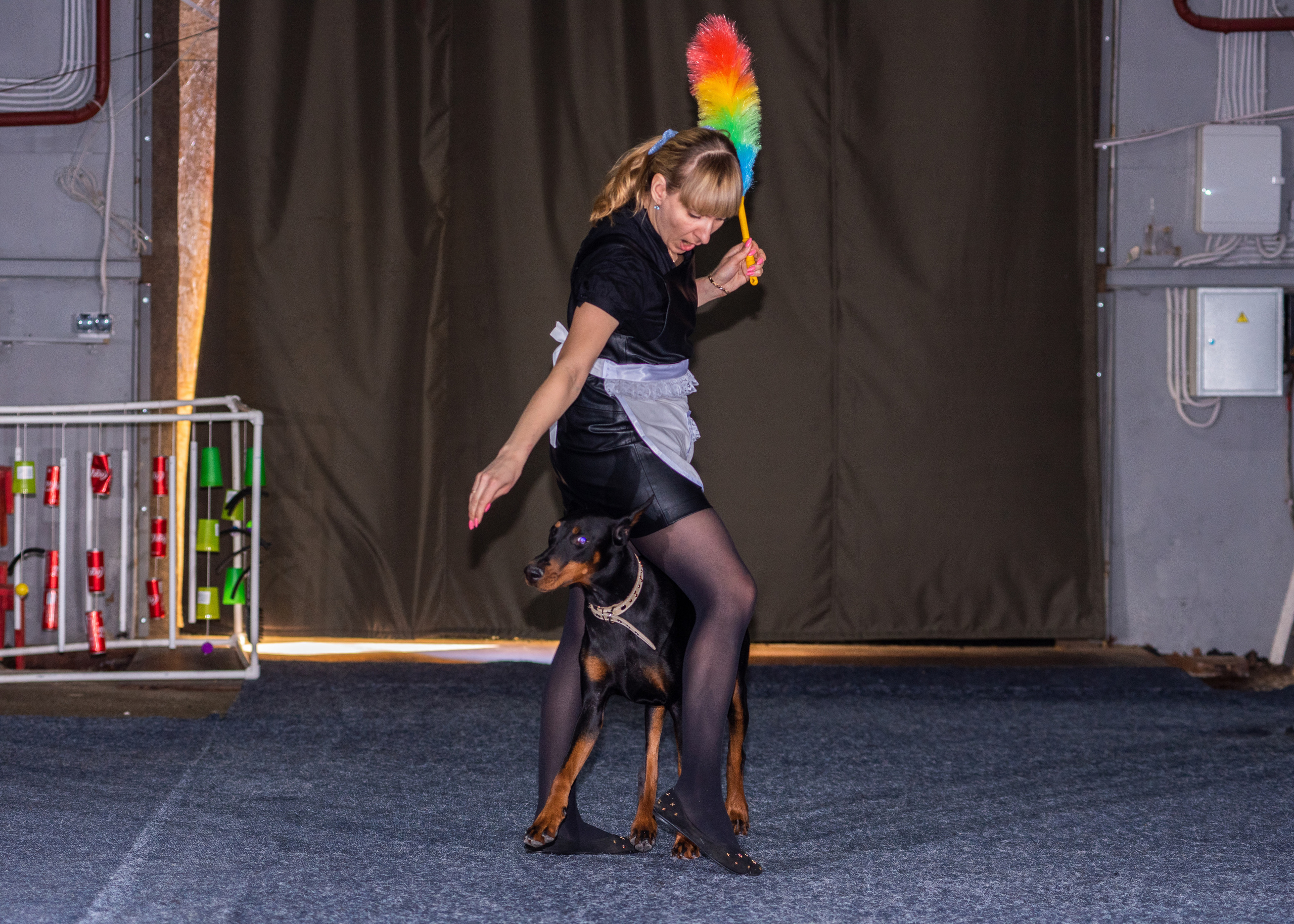 Танцы с собаками!. Дог-фотограф в Тюмени Александра Королева