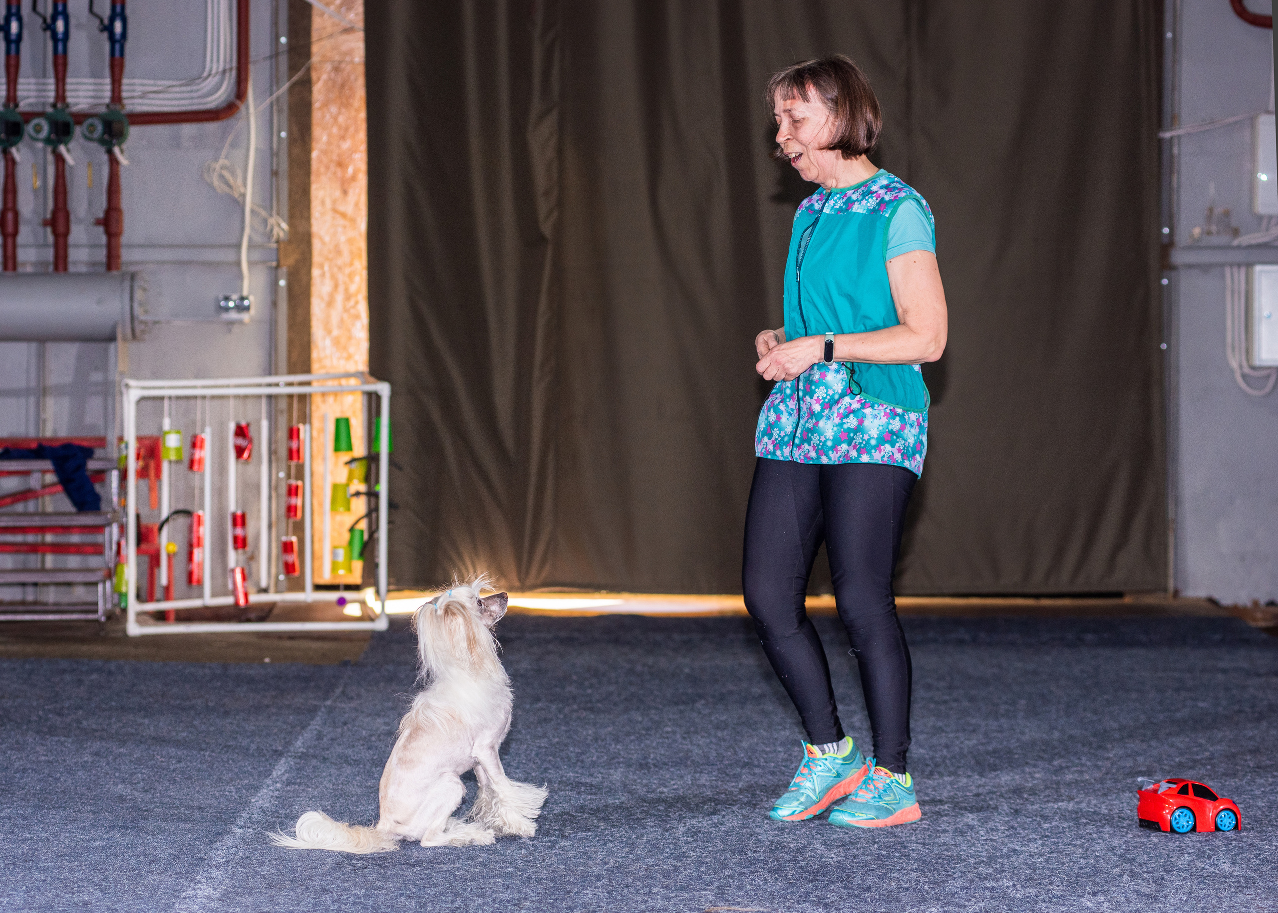 Танцы с собаками!. Дог-фотограф в Тюмени Александра Королева