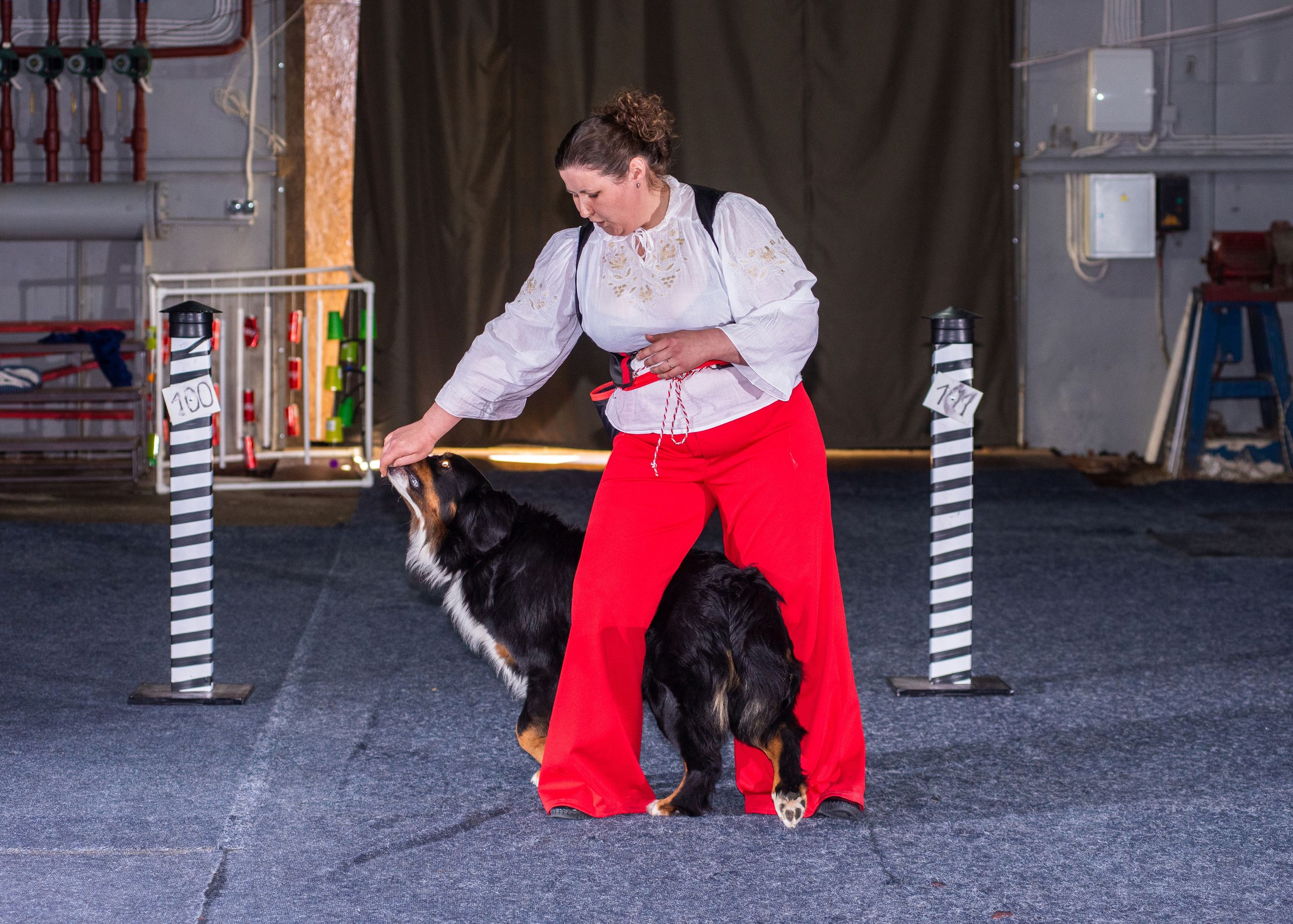 Танцы с собаками!. Дог-фотограф в Тюмени Александра Королева