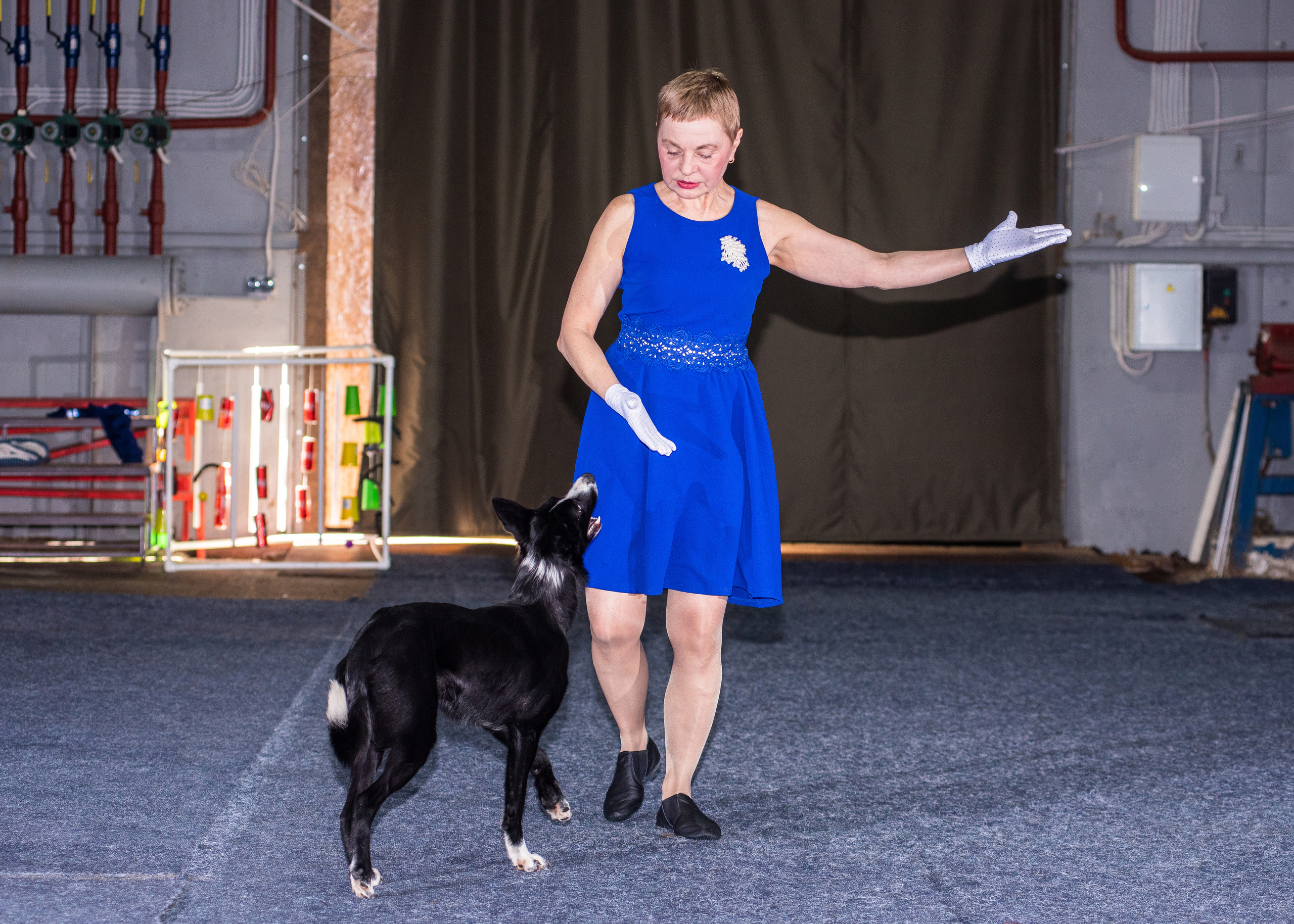 Танцы с собаками!. Дог-фотограф в Тюмени Александра Королева