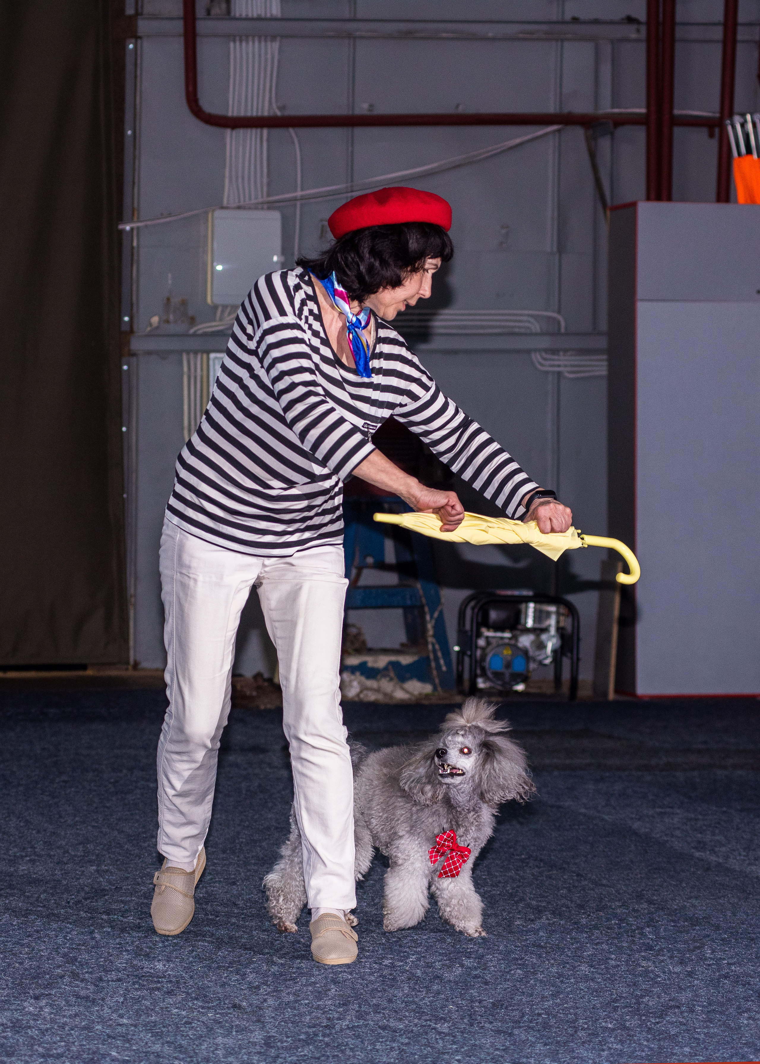 Танцы с собаками!. Дог-фотограф в Тюмени Александра Королева