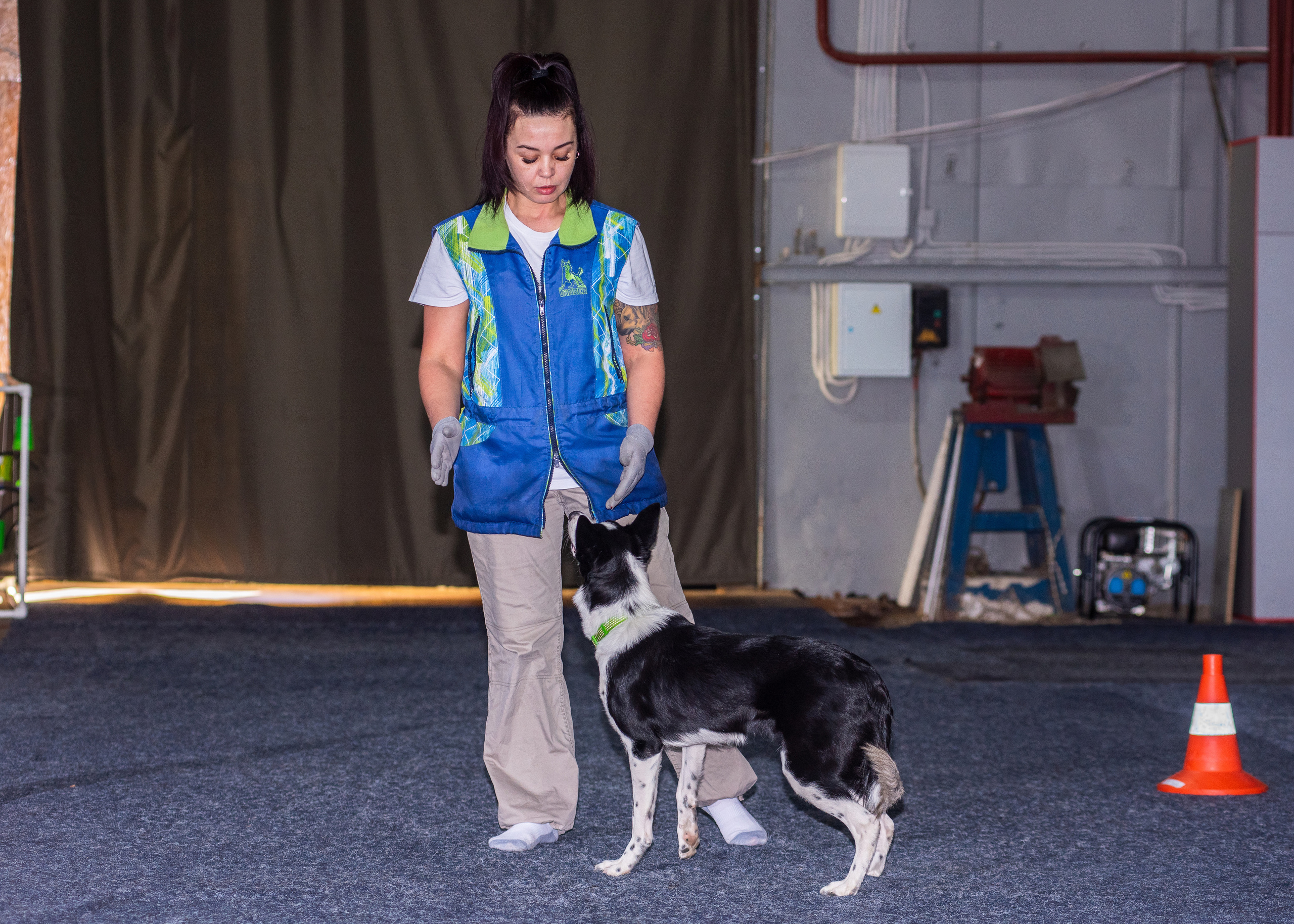 Танцы с собаками!. Дог-фотограф в Тюмени Александра Королева
