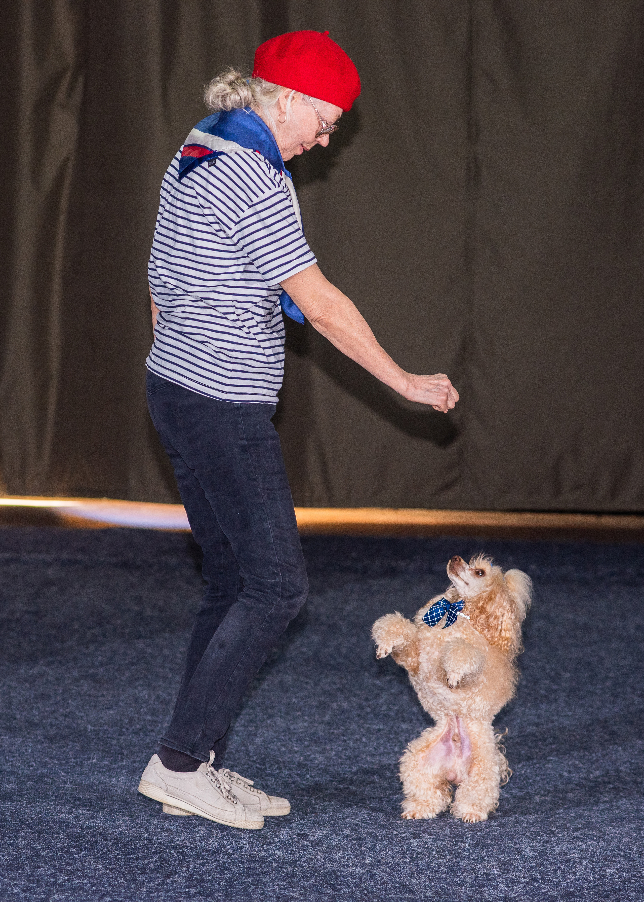 Танцы с собаками!. Дог-фотограф в Тюмени Александра Королева