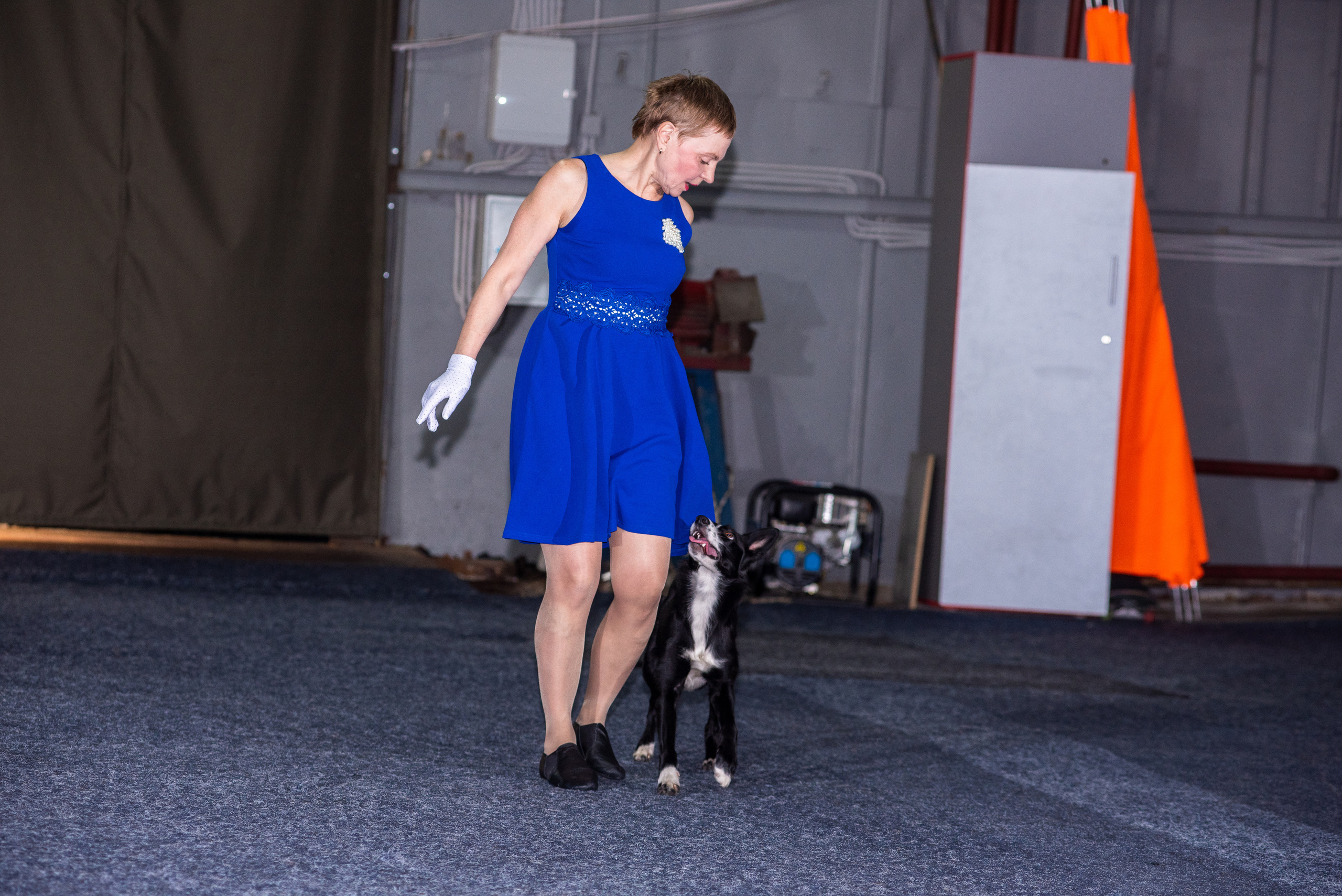 Танцы с собаками!. Дог-фотограф в Тюмени Александра Королева