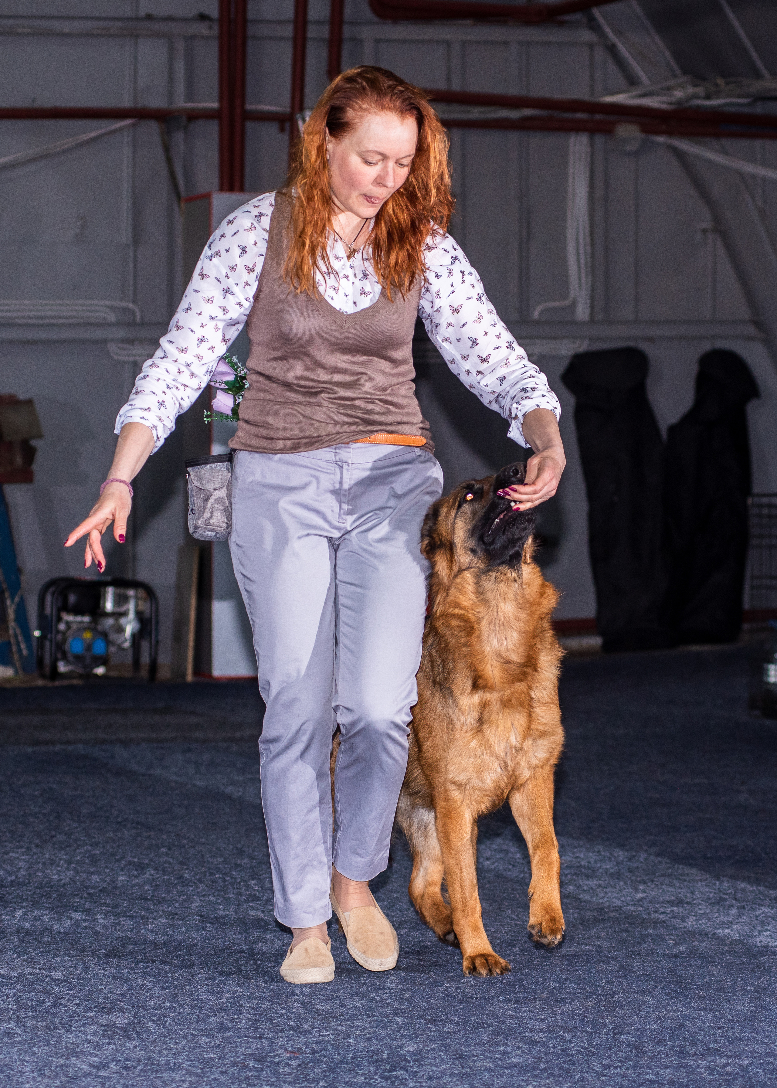 Танцы с собаками!. Дог-фотограф в Тюмени Александра Королева