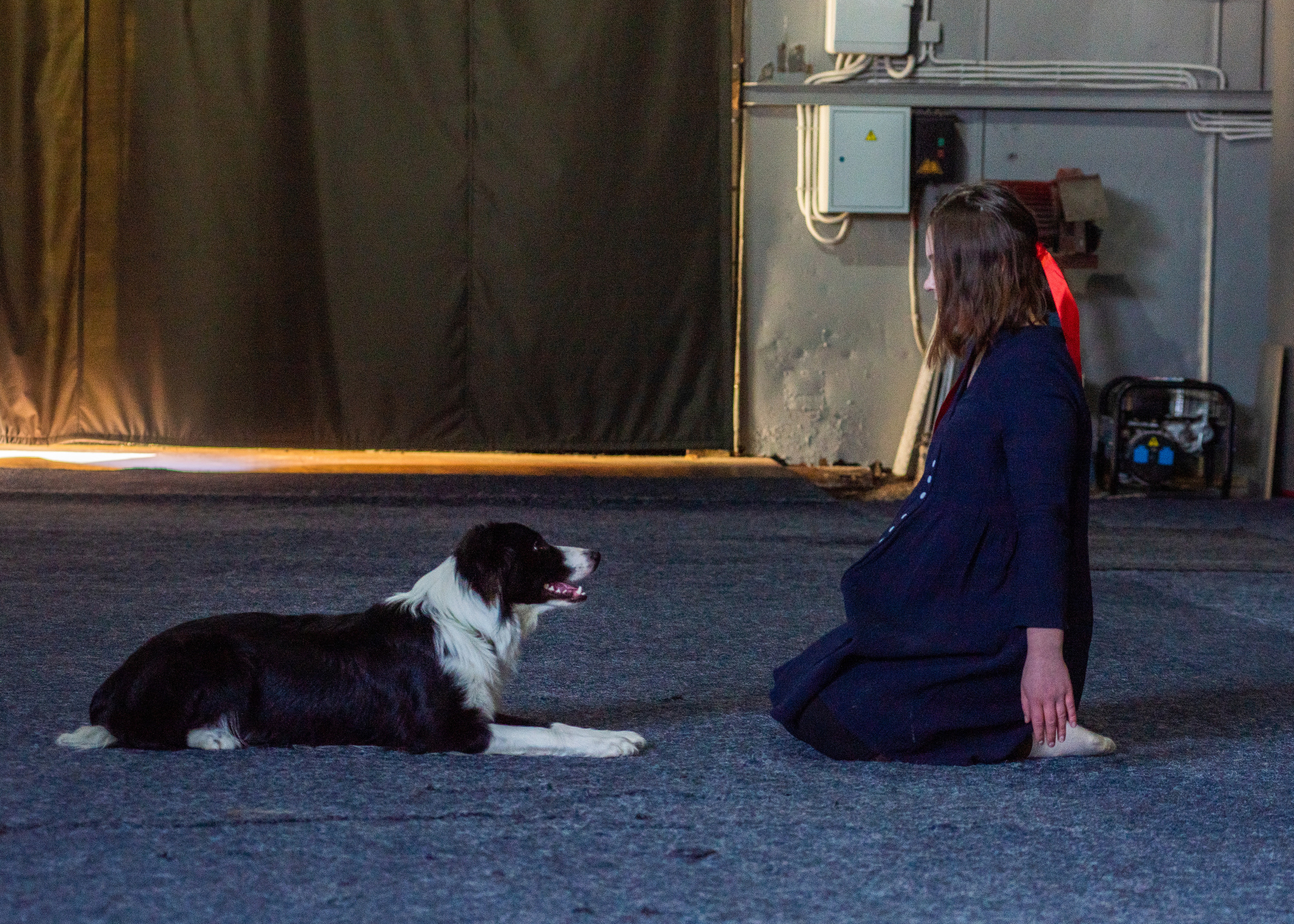 Танцы с собаками!. Дог-фотограф в Тюмени Александра Королева