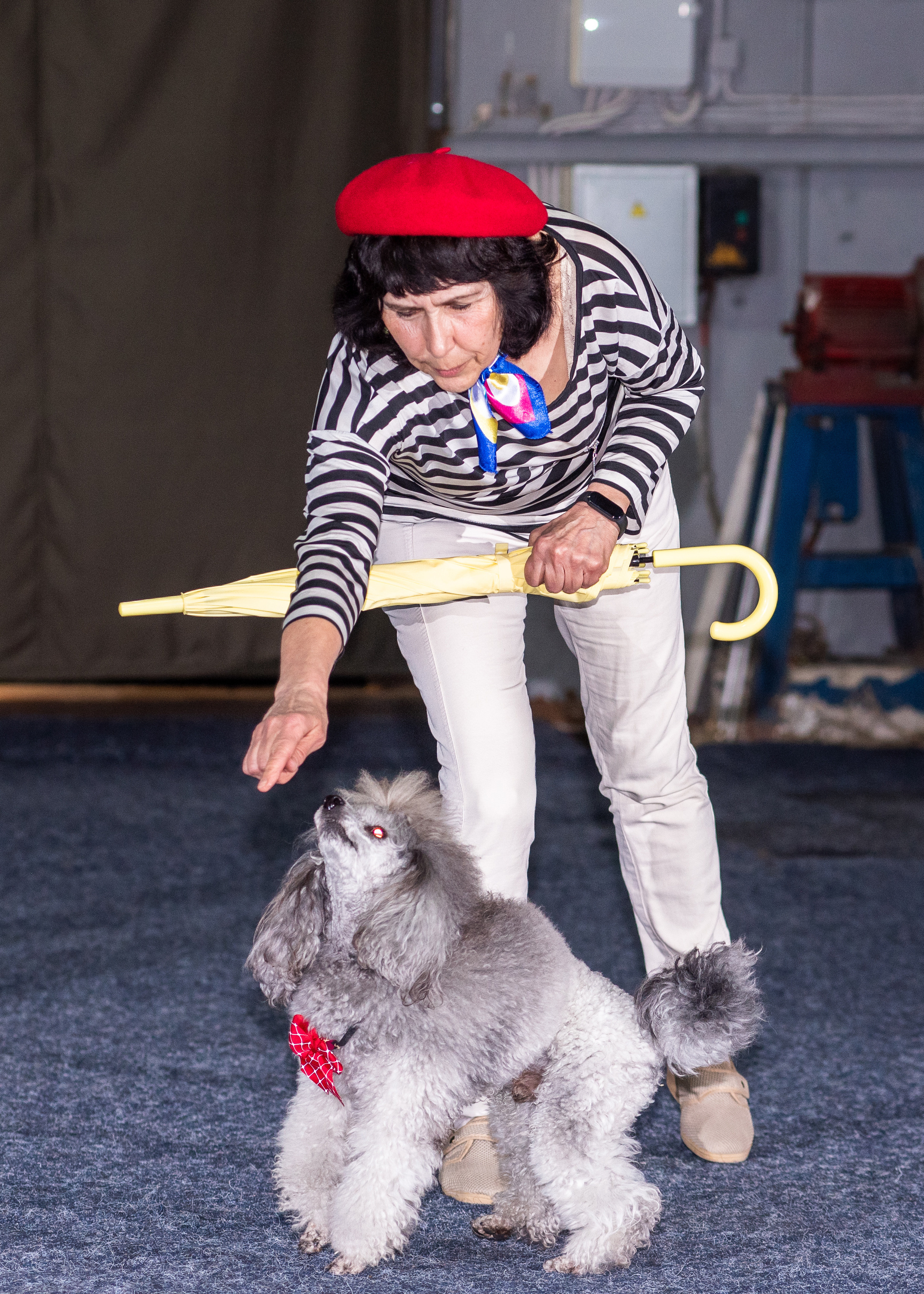 Танцы с собаками!. Дог-фотограф в Тюмени Александра Королева