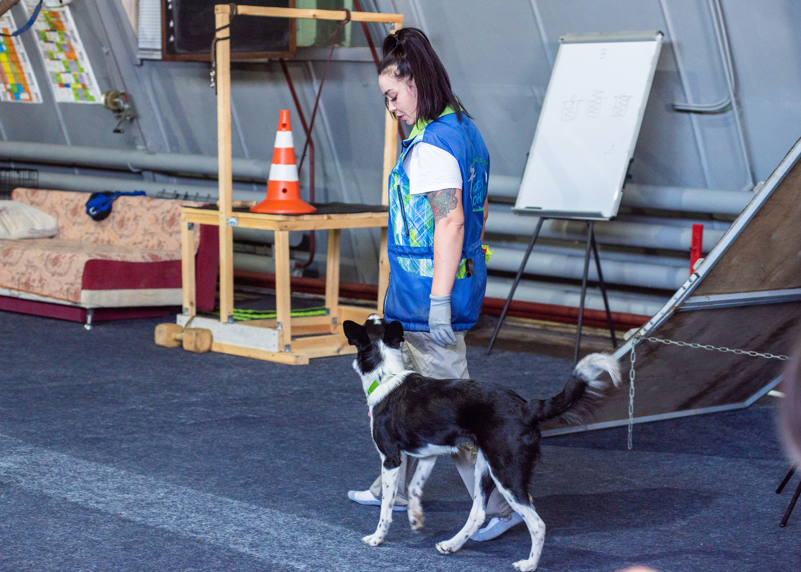 Танцы с собаками!. Дог-фотограф в Тюмени Александра Королева