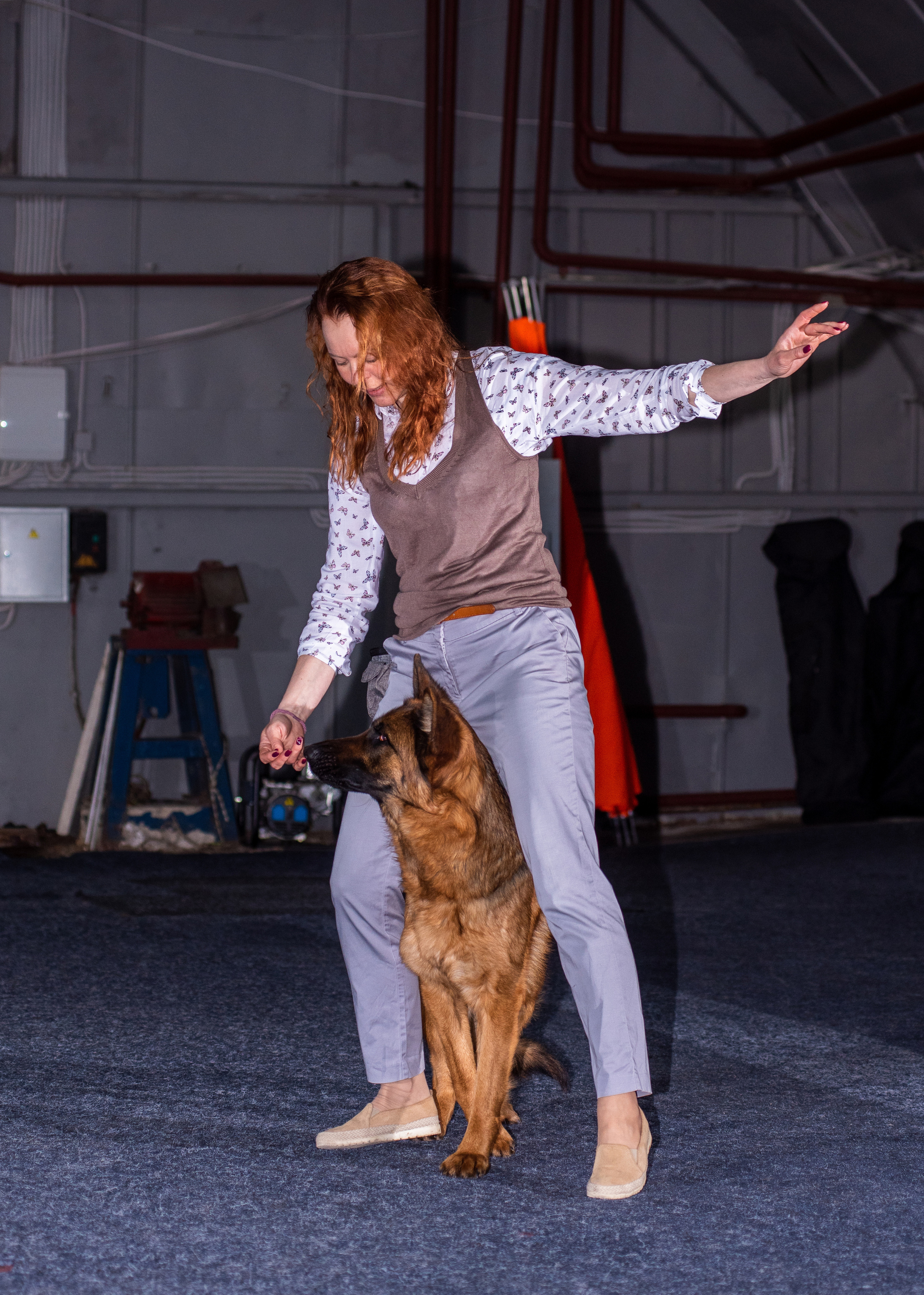 Танцы с собаками!. Дог-фотограф в Тюмени Александра Королева