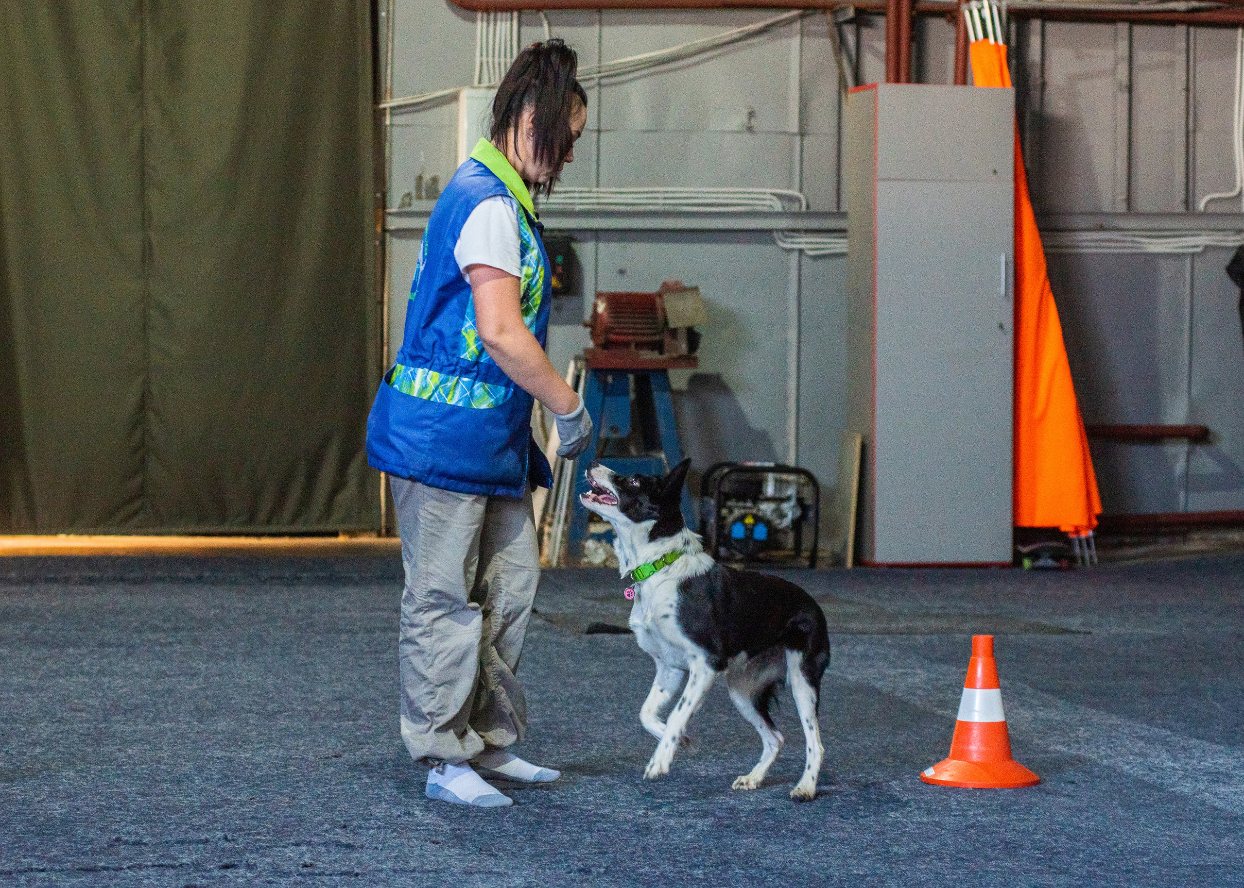 Танцы с собаками!. Дог-фотограф в Тюмени Александра Королева