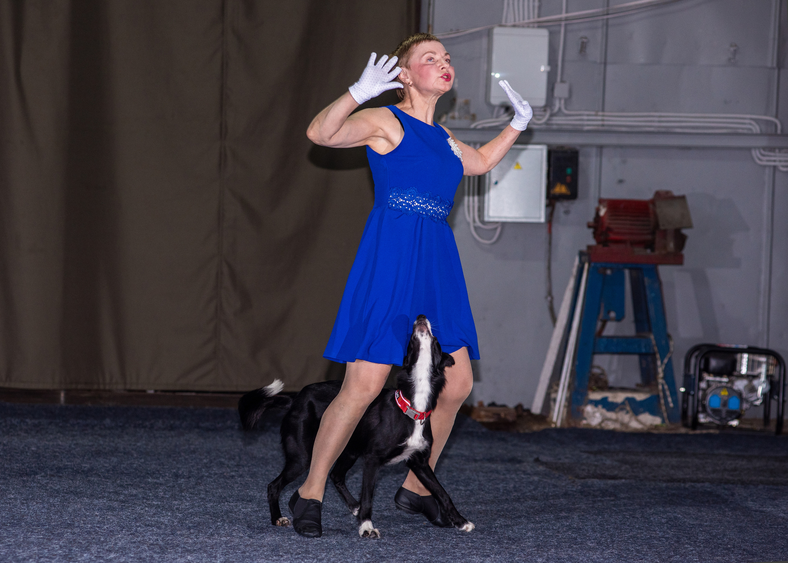 Танцы с собаками!. Дог-фотограф в Тюмени Александра Королева