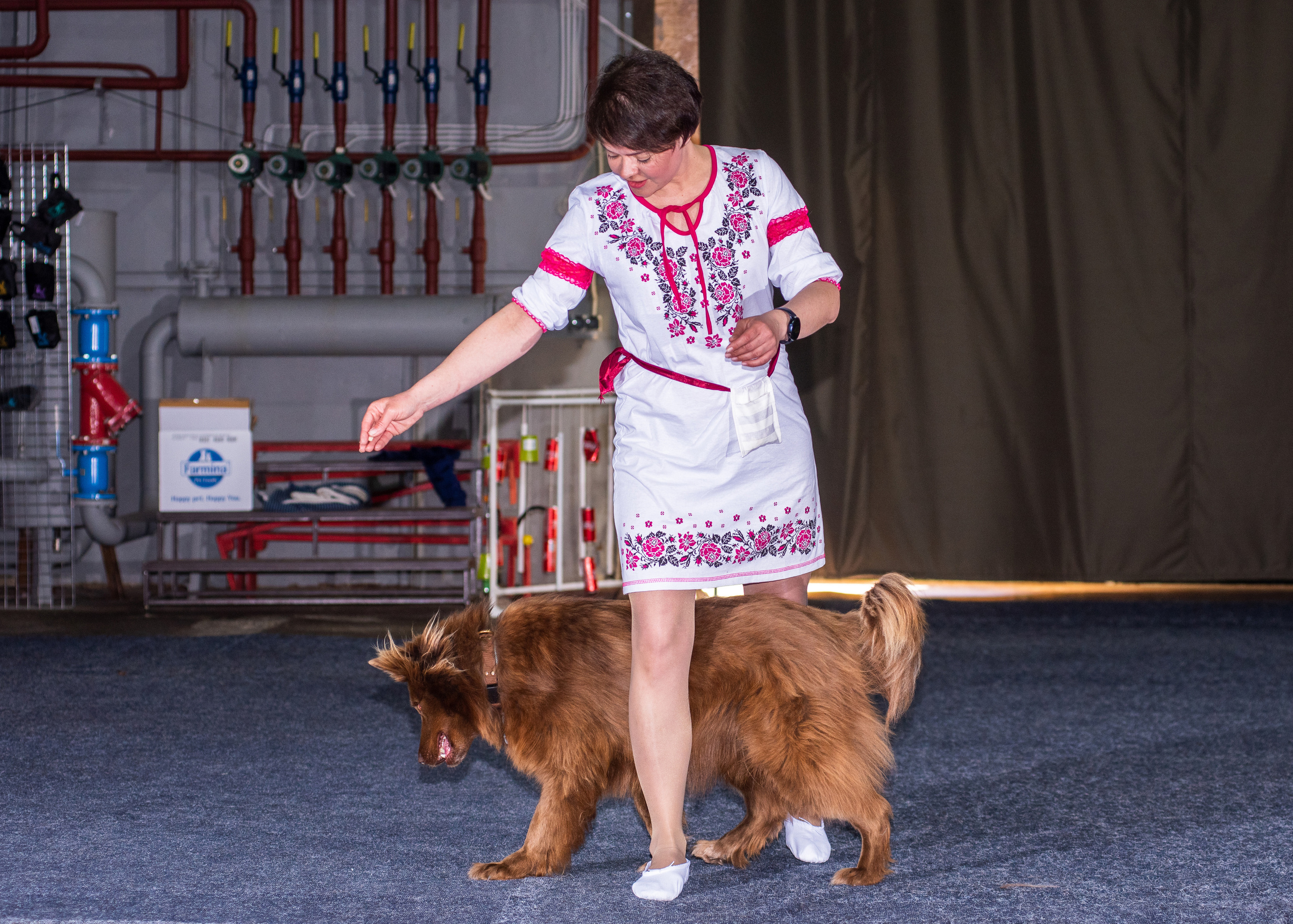 Танцы с собаками!. Дог-фотограф в Тюмени Александра Королева