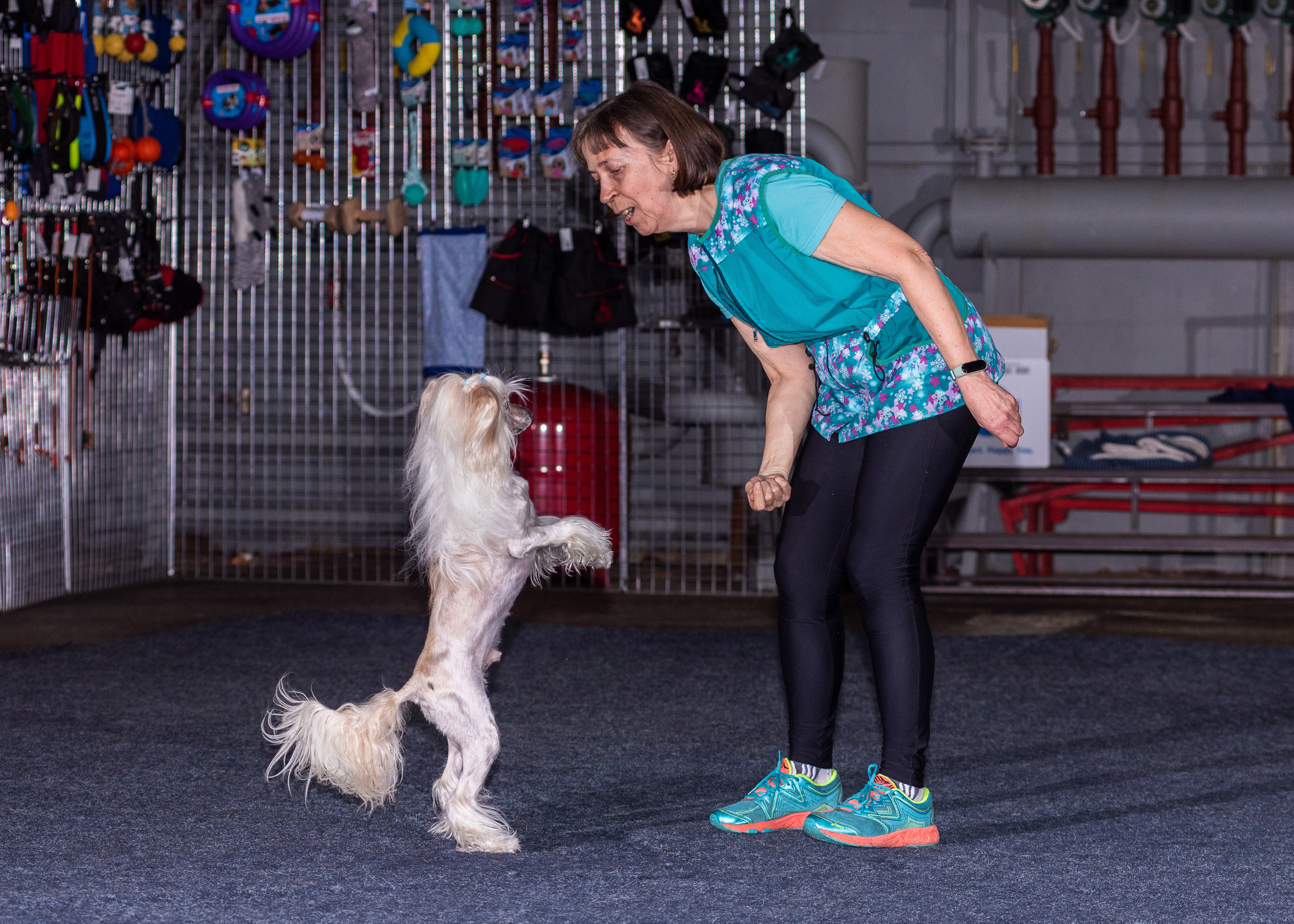 Танцы с собаками!. Дог-фотограф в Тюмени Александра Королева