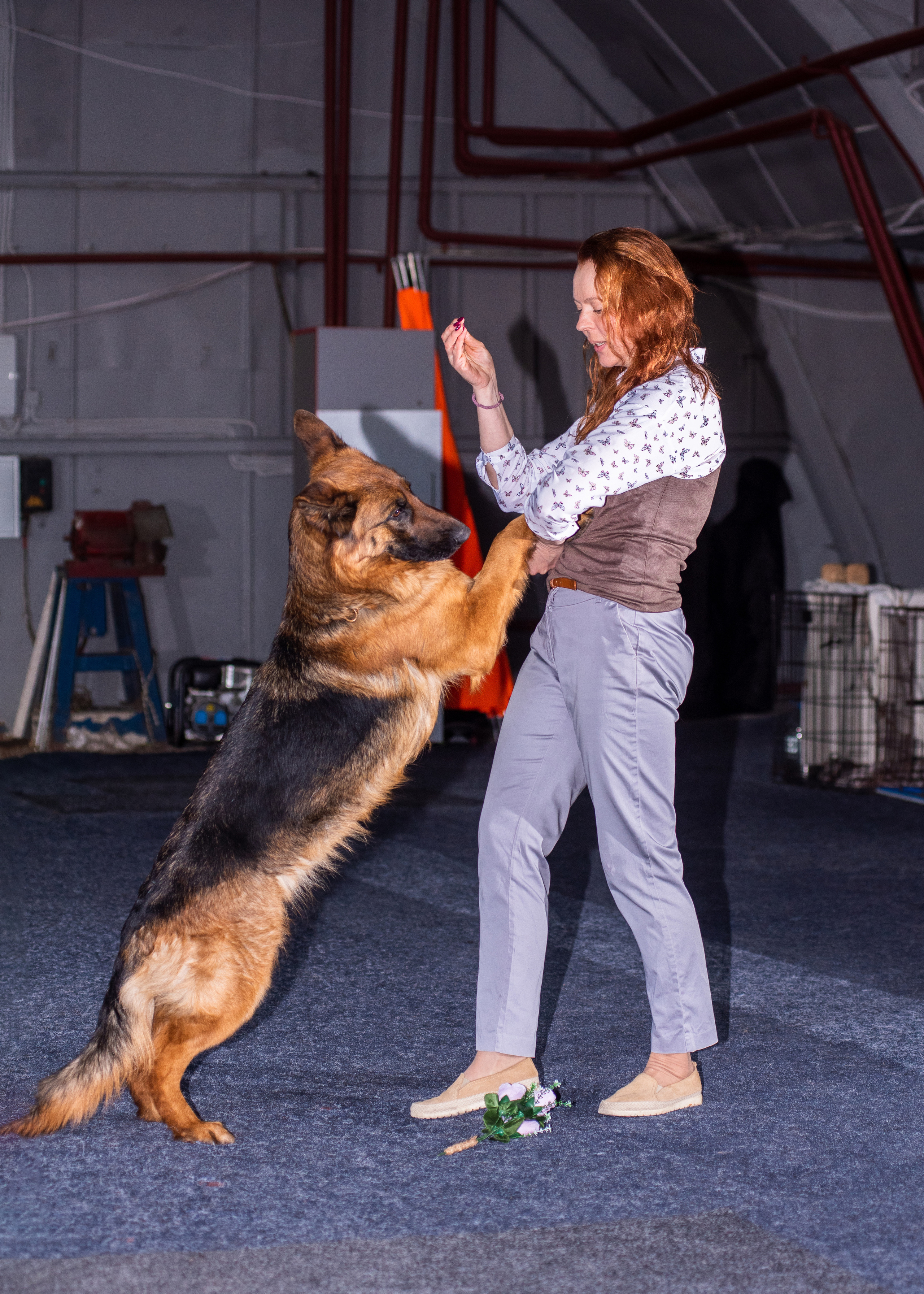 Танцы с собаками!. Дог-фотограф в Тюмени Александра Королева