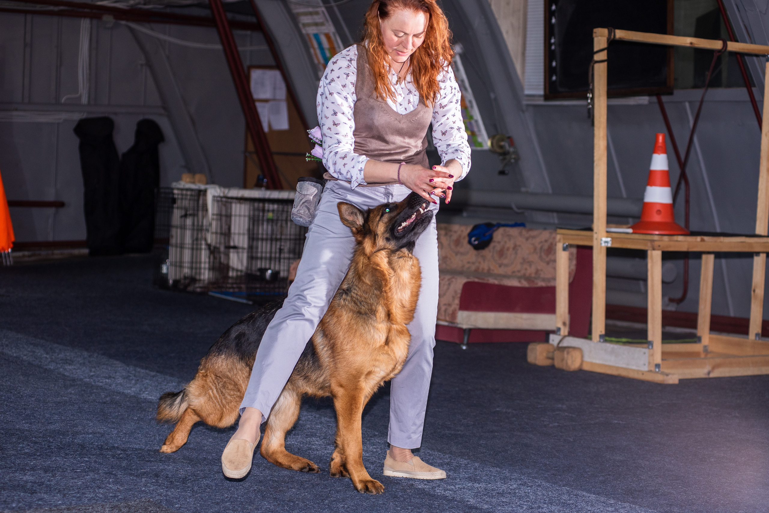 Танцы с собаками!. Дог-фотограф в Тюмени Александра Королева