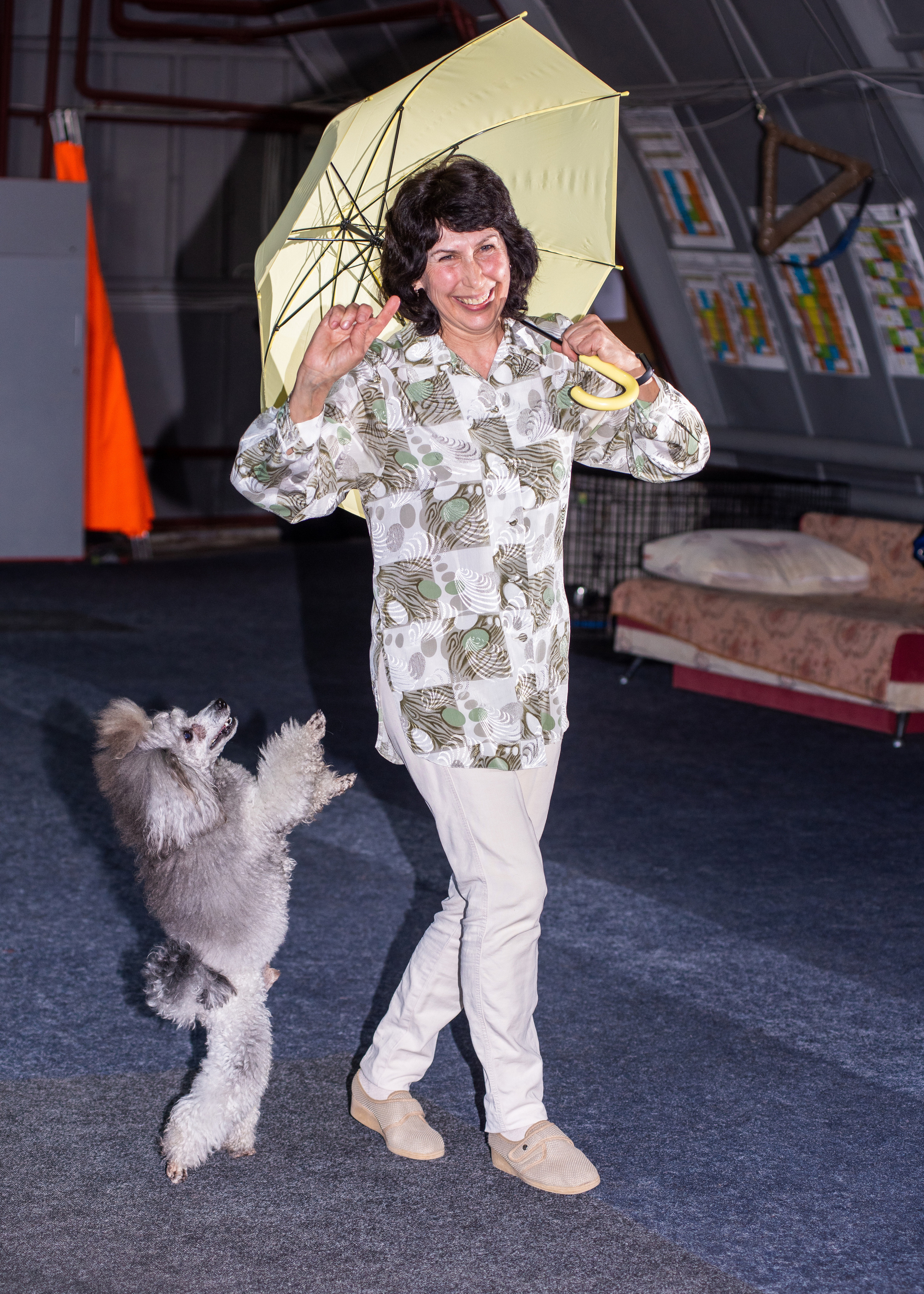 Танцы с собаками!. Дог-фотограф в Тюмени Александра Королева