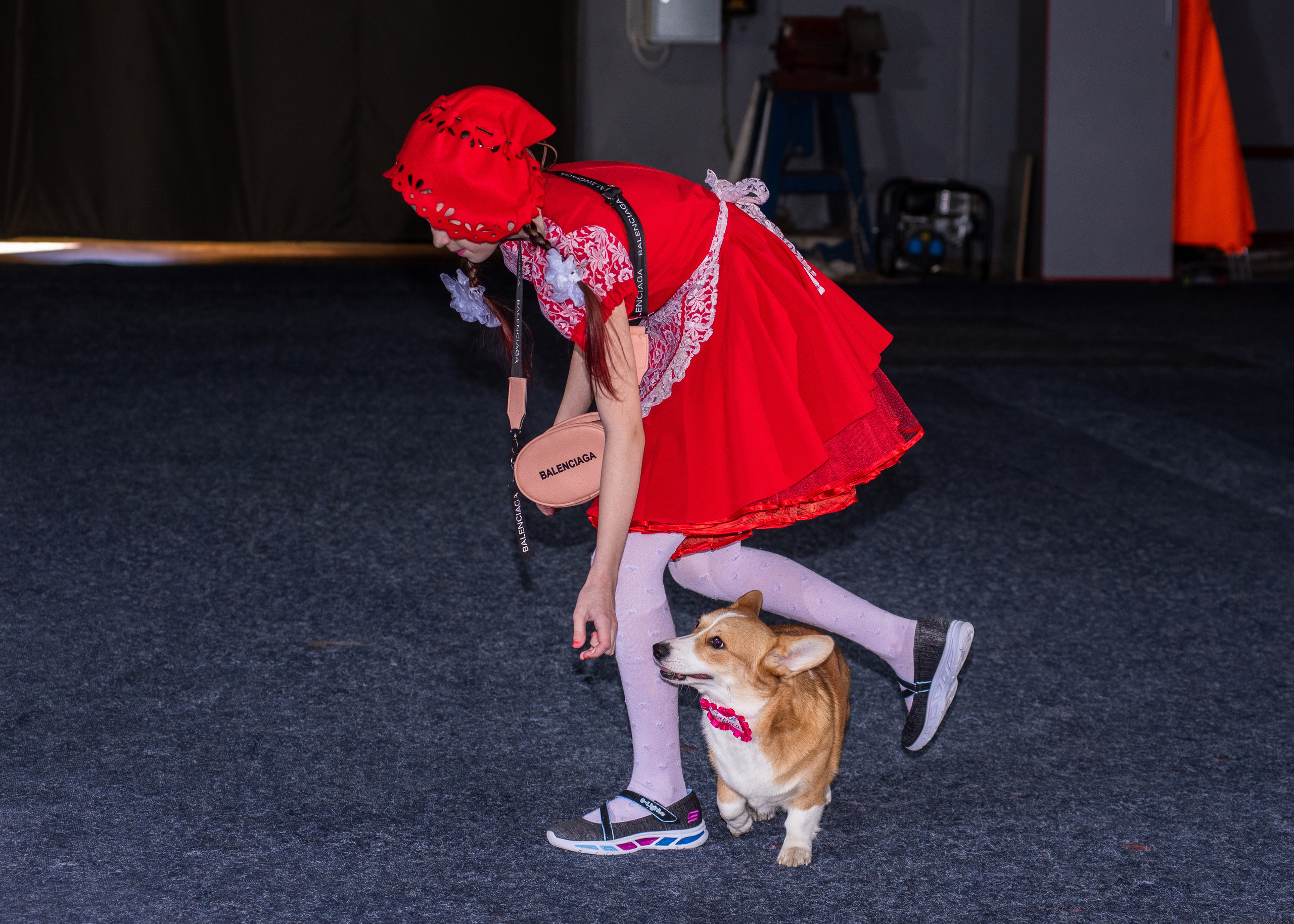 Танцы с собаками!. Дог-фотограф в Тюмени Александра Королева