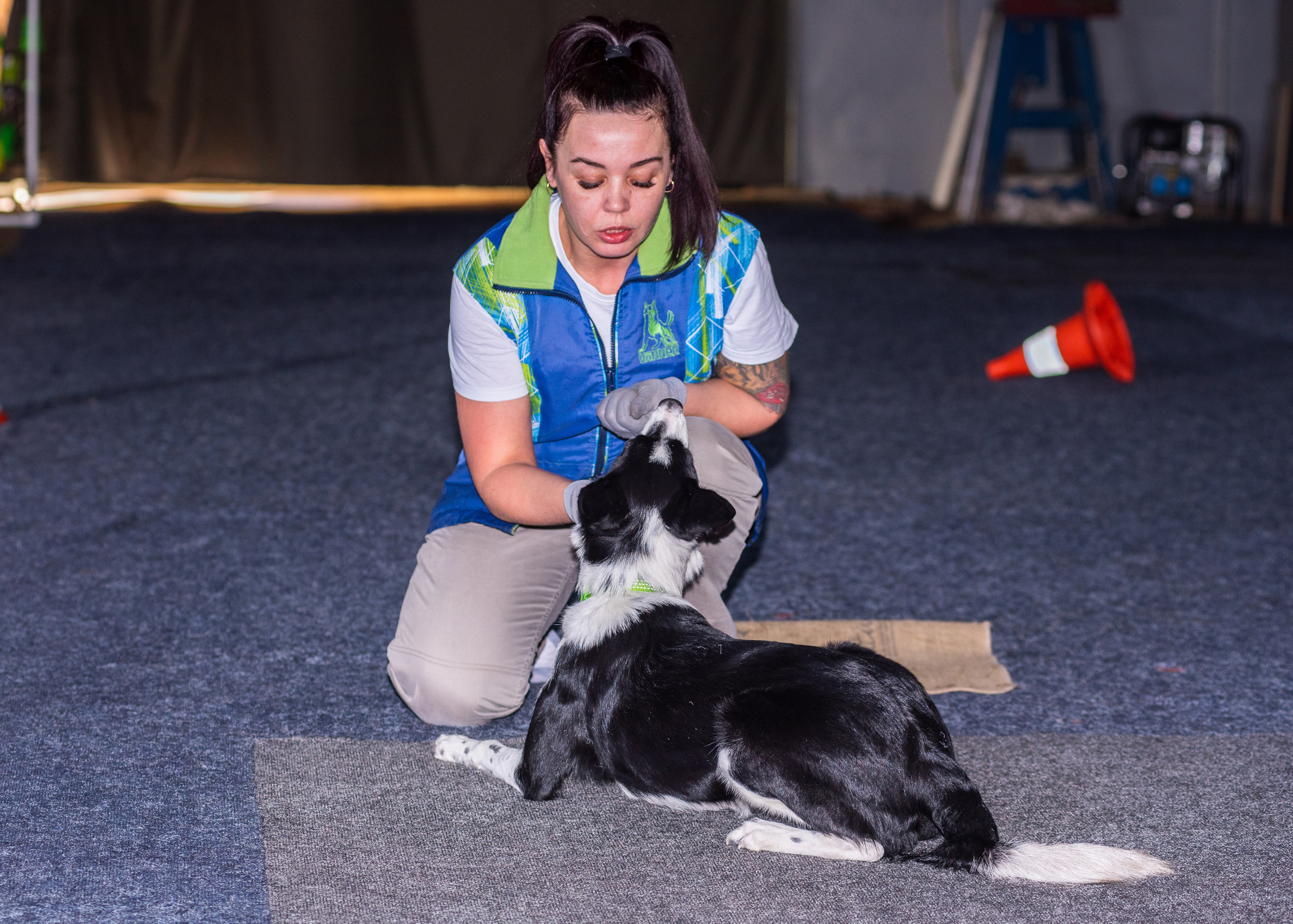 Танцы с собаками!. Дог-фотограф в Тюмени Александра Королева