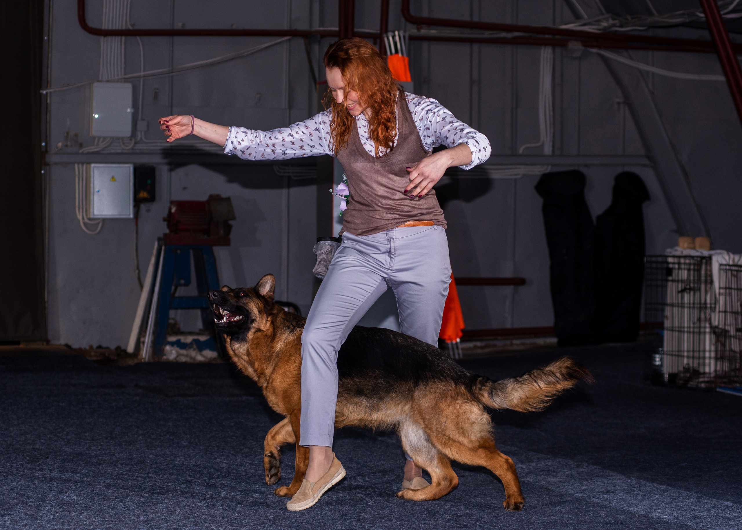 Танцы с собаками!. Дог-фотограф в Тюмени Александра Королева