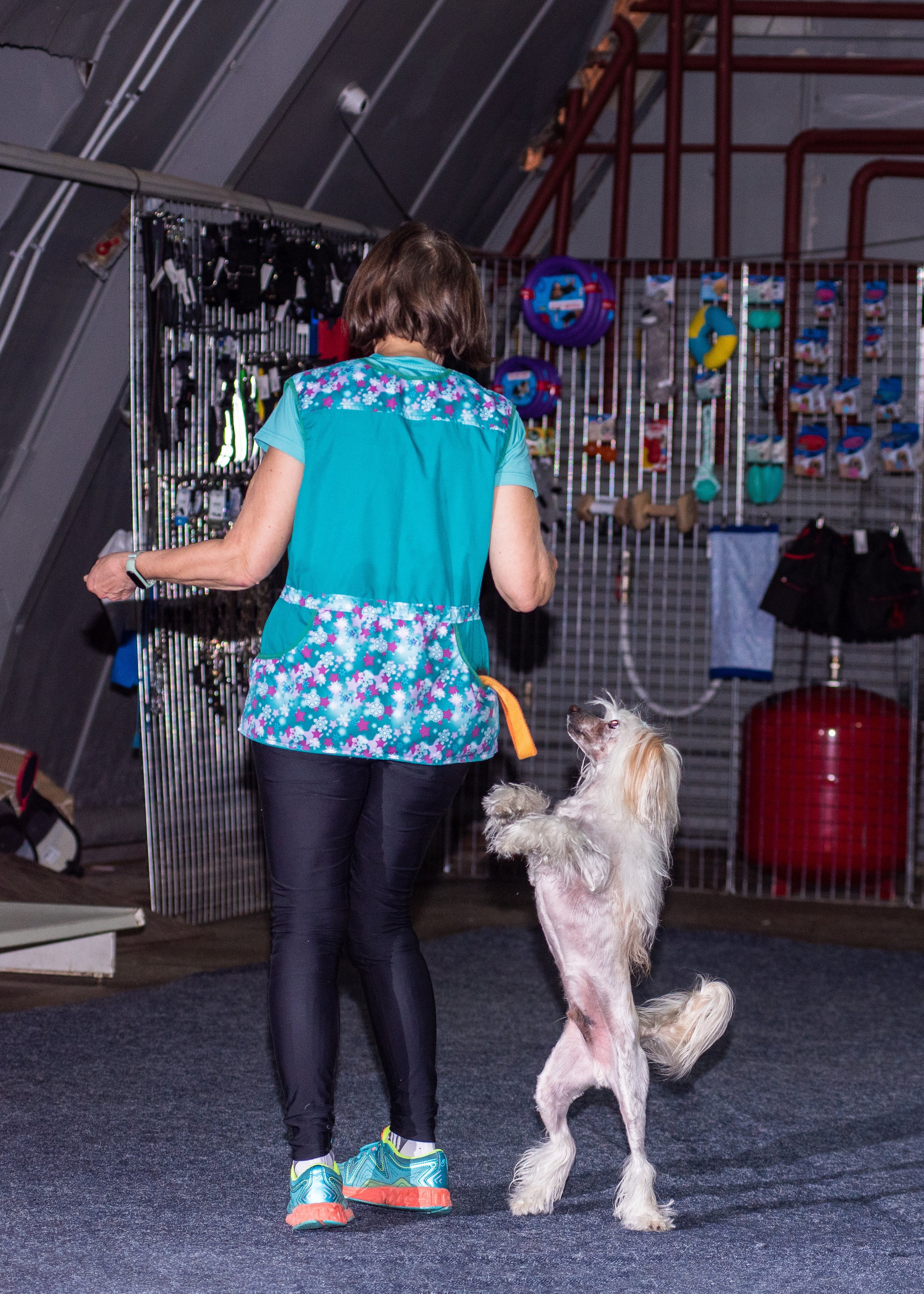 Танцы с собаками!. Дог-фотограф в Тюмени Александра Королева