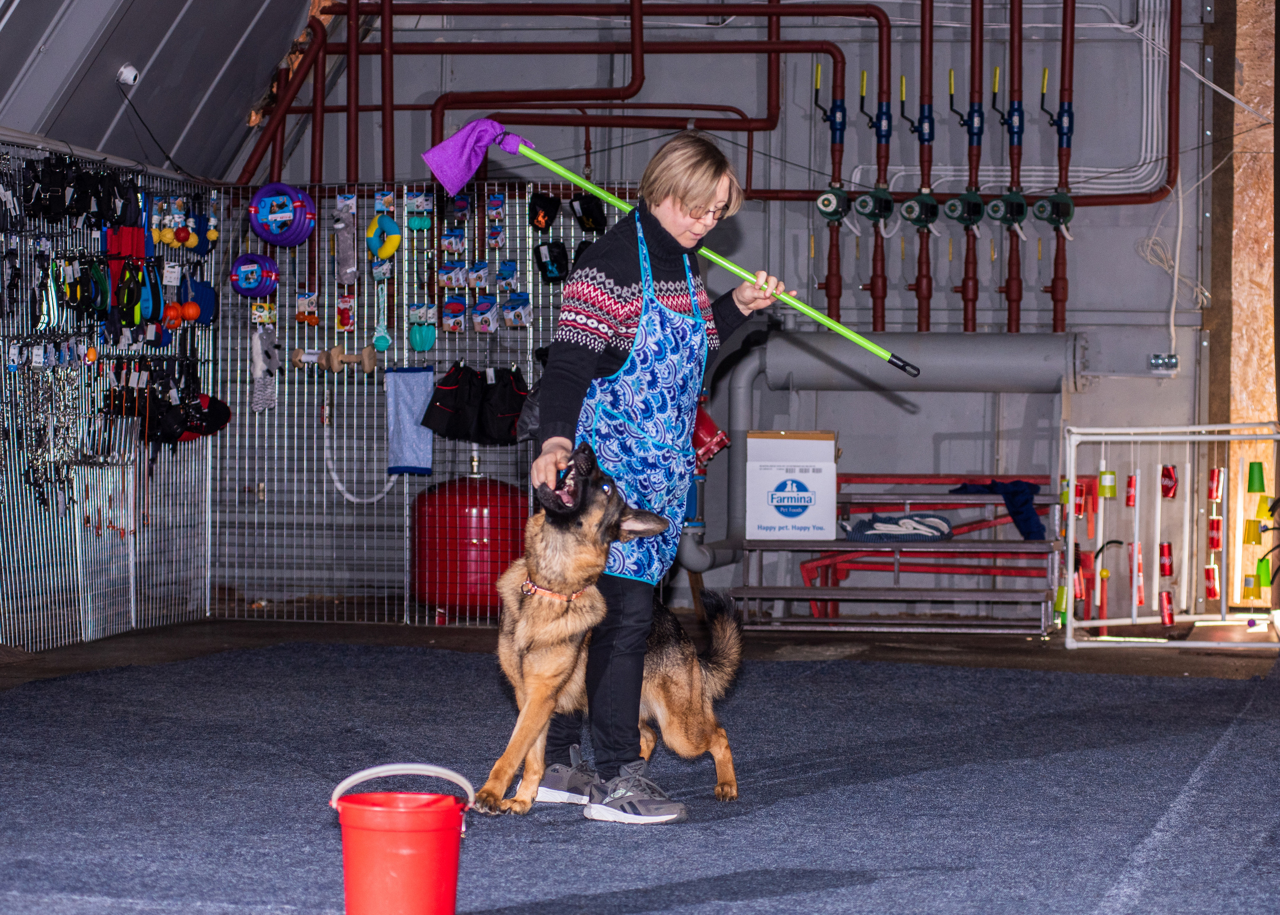 Танцы с собаками!. Дог-фотограф в Тюмени Александра Королева