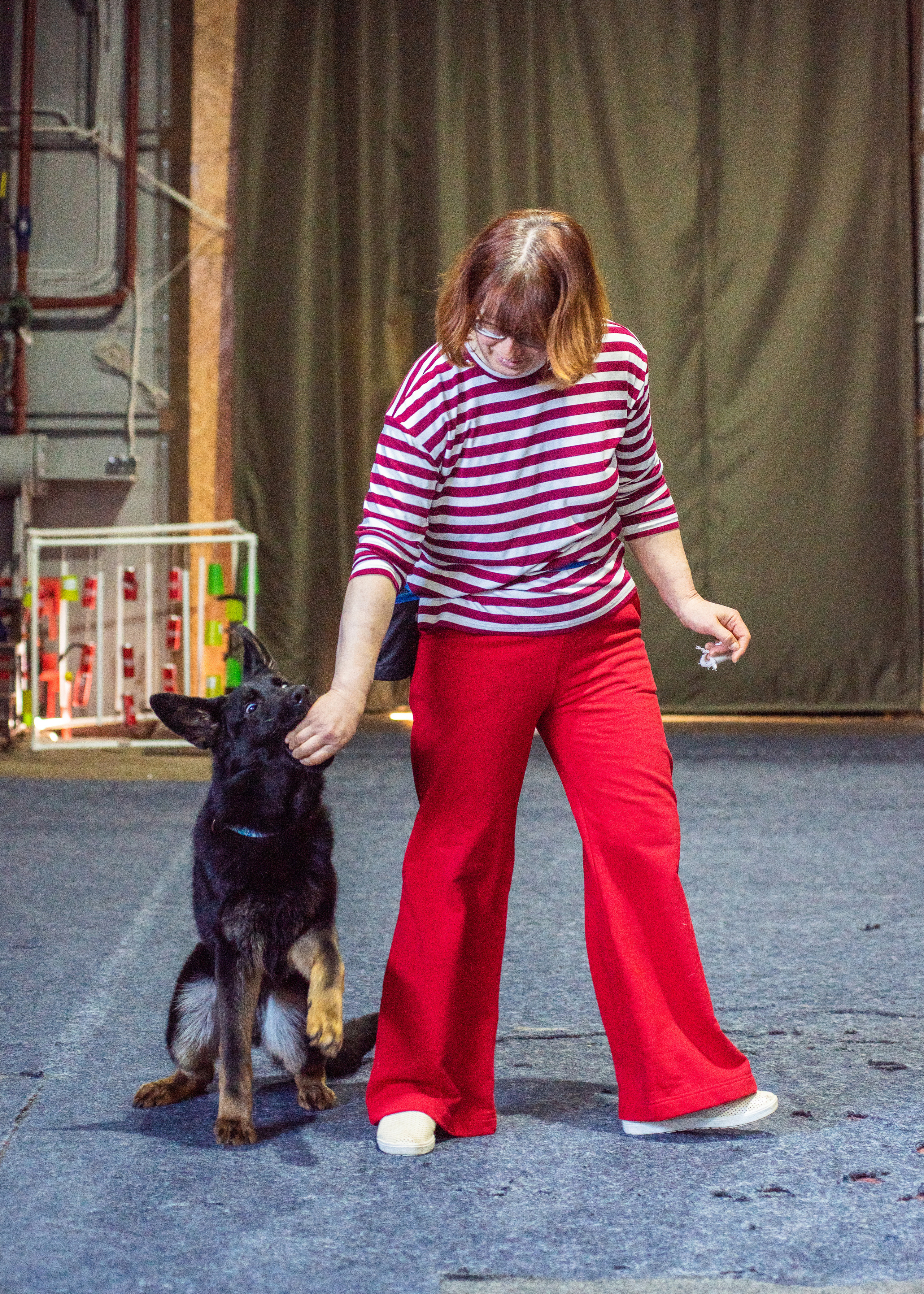 Танцы с собаками!. Дог-фотограф в Тюмени Александра Королева