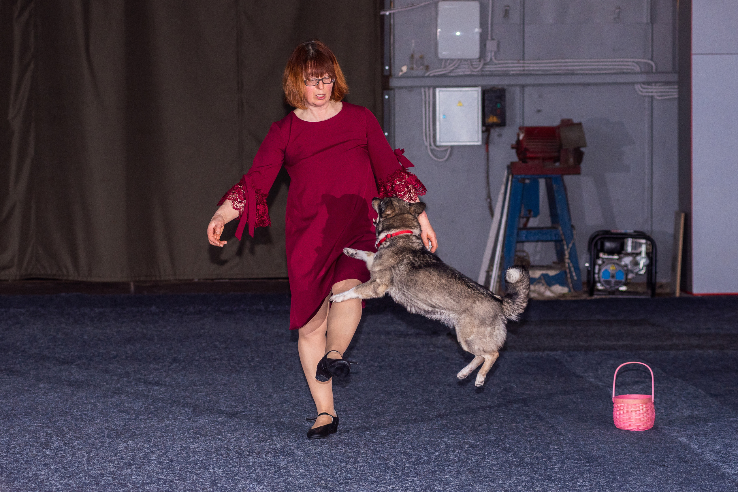 Танцы с собаками!. Дог-фотограф в Тюмени Александра Королева