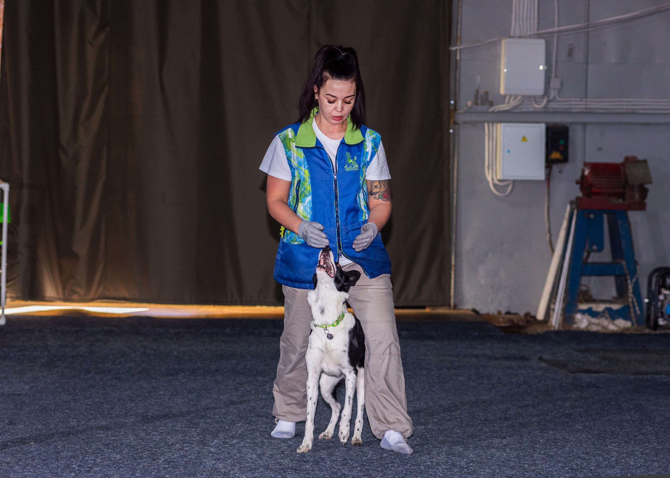 Танцы с собаками!. Дог-фотограф в Тюмени Александра Королева