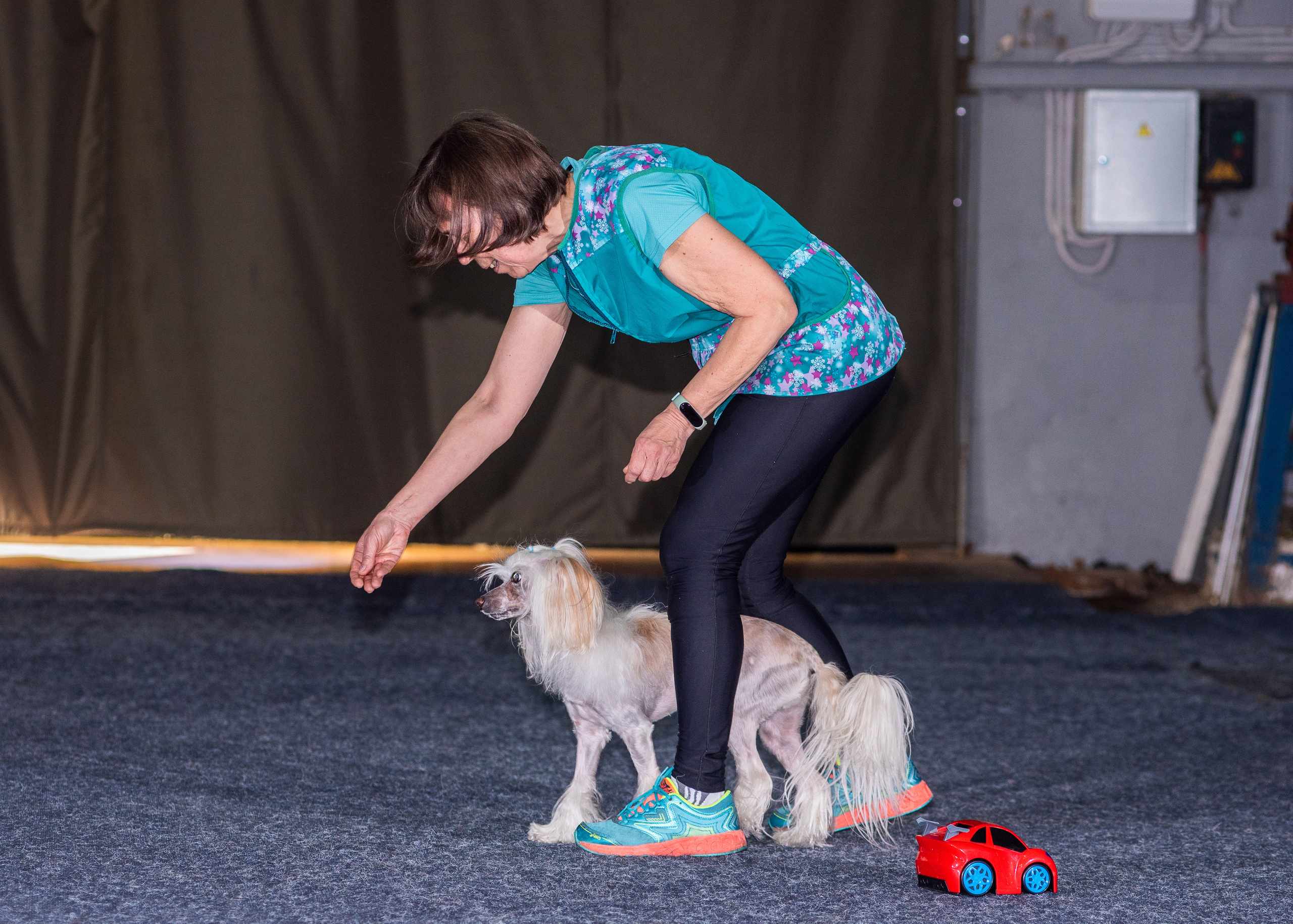 Танцы с собаками!. Дог-фотограф в Тюмени Александра Королева