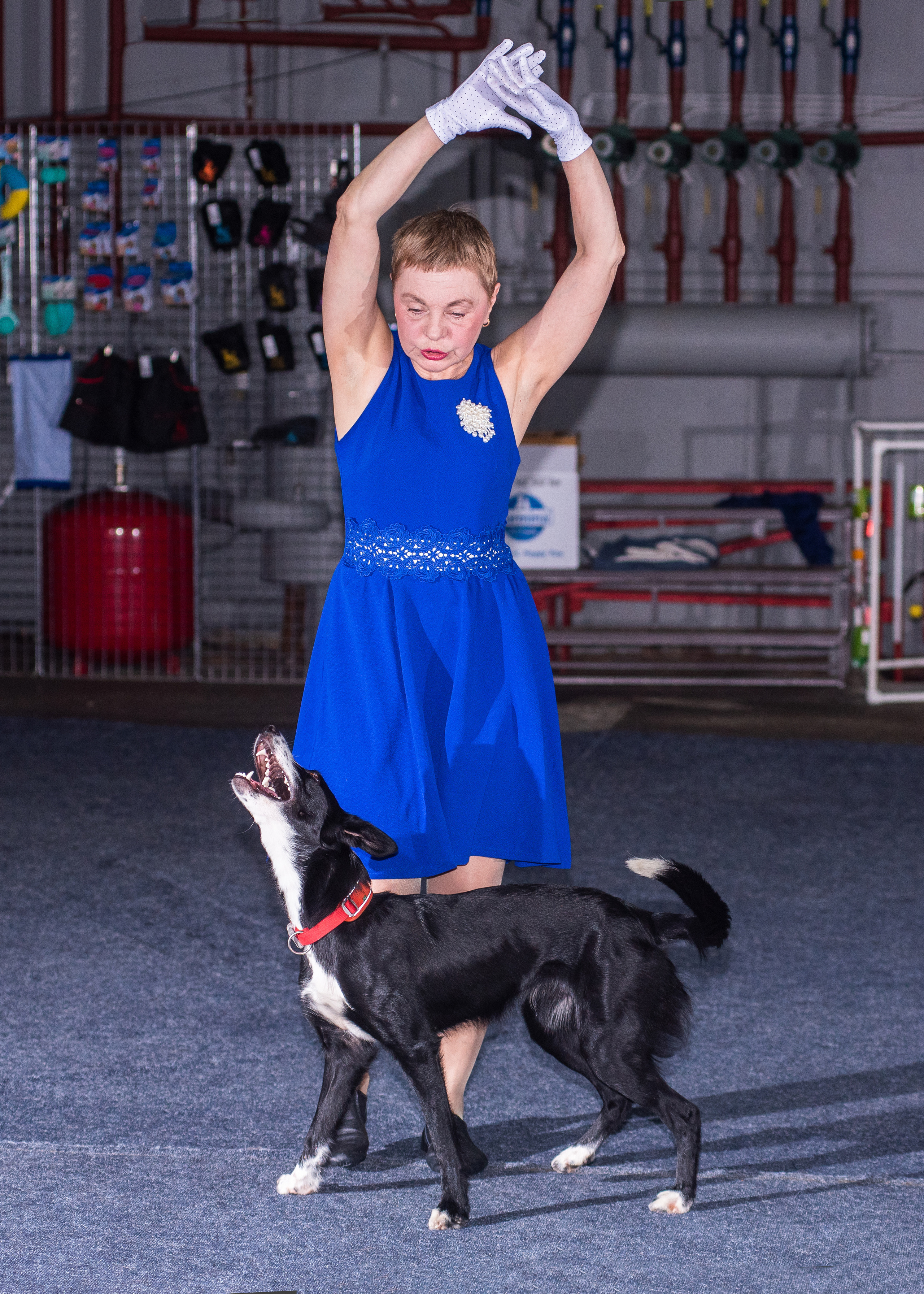 Танцы с собаками!. Дог-фотограф в Тюмени Александра Королева