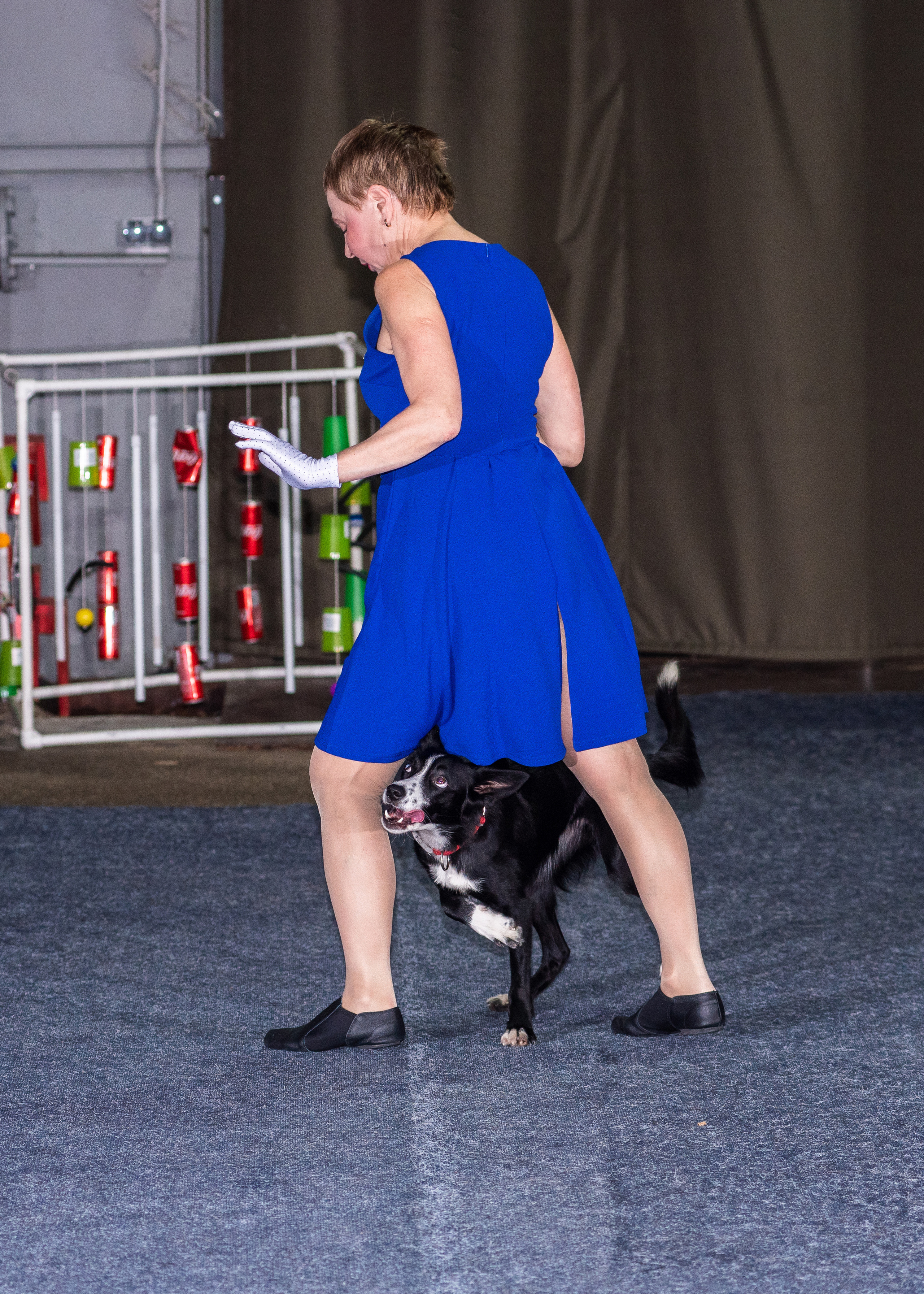 Танцы с собаками!. Дог-фотограф в Тюмени Александра Королева