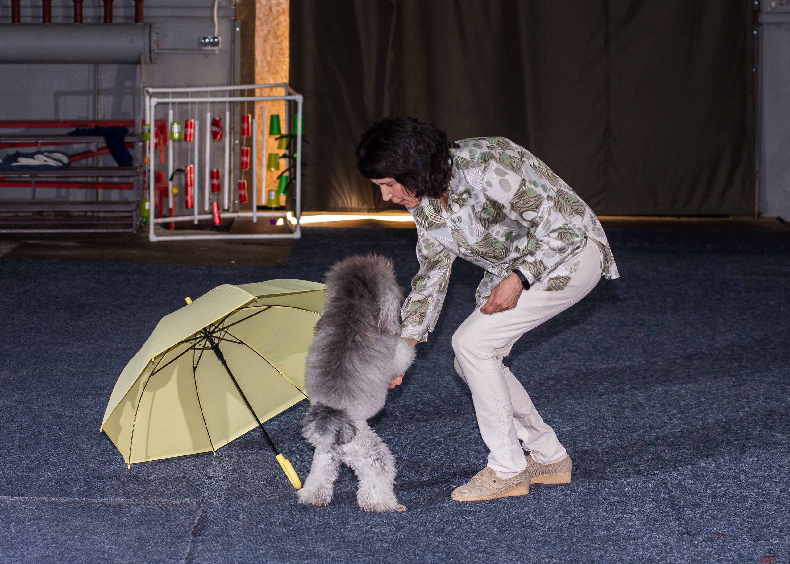 Танцы с собаками!. Дог-фотограф в Тюмени Александра Королева
