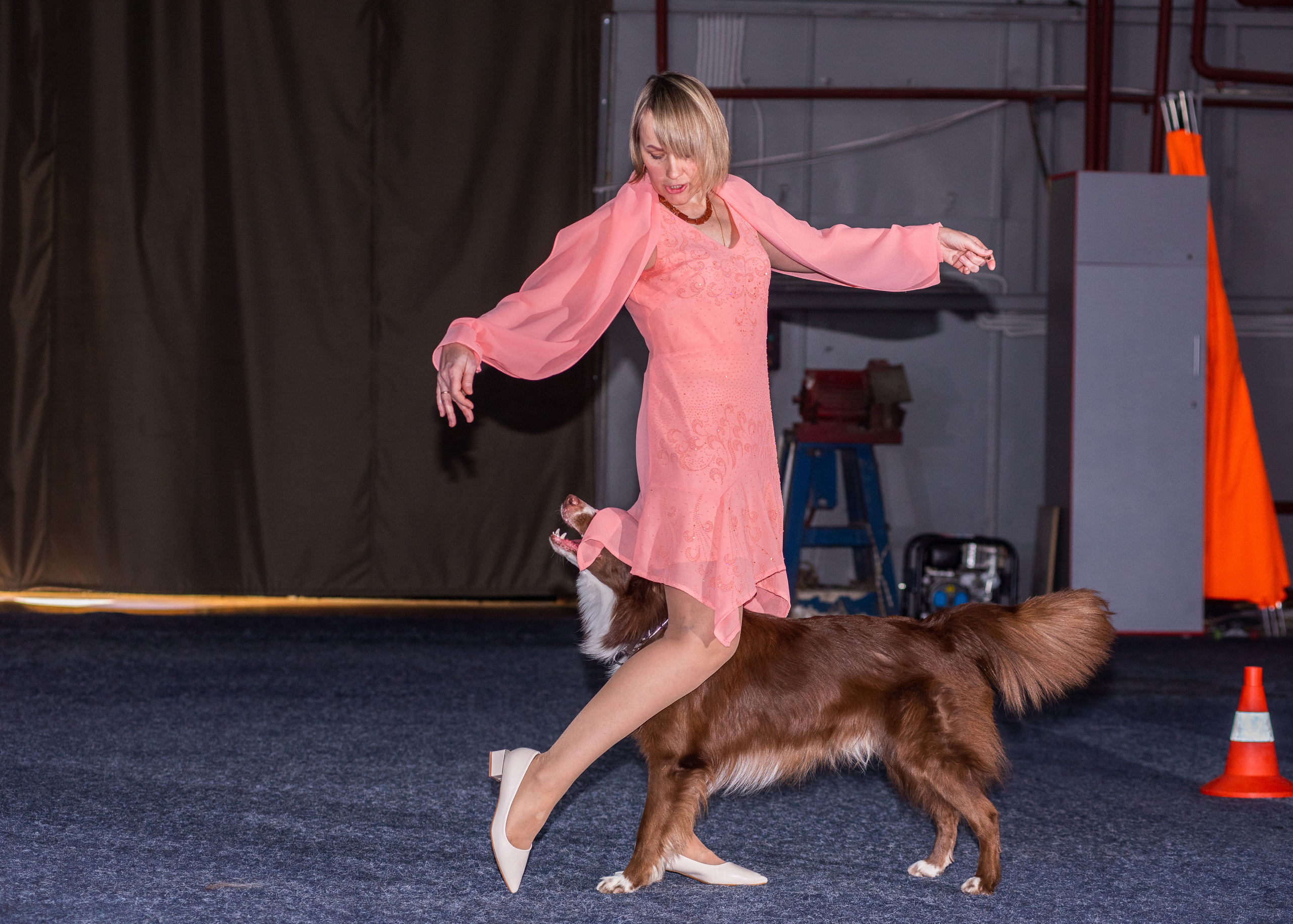 Танцы с собаками!. Дог-фотограф в Тюмени Александра Королева