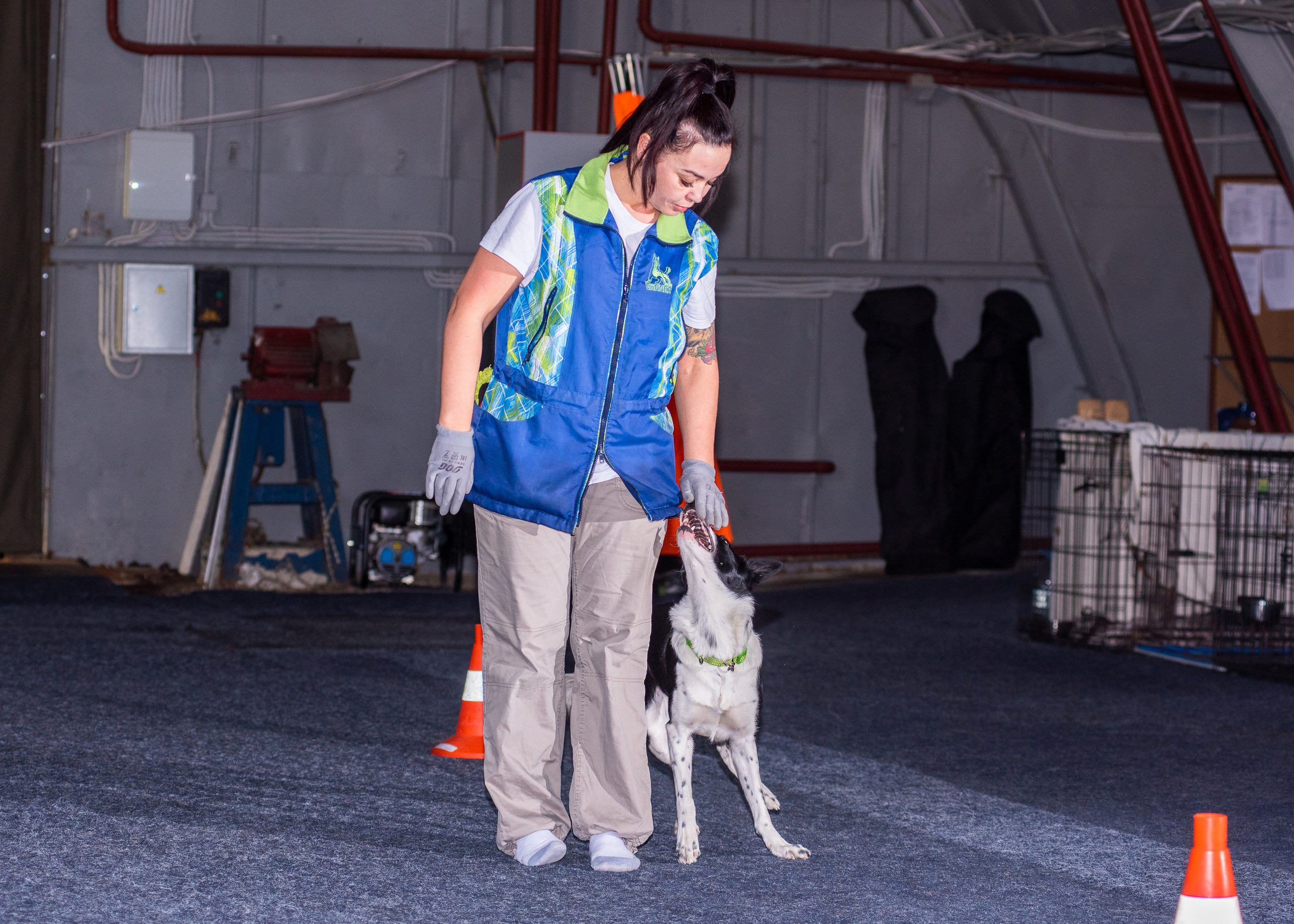 Танцы с собаками!. Дог-фотограф в Тюмени Александра Королева