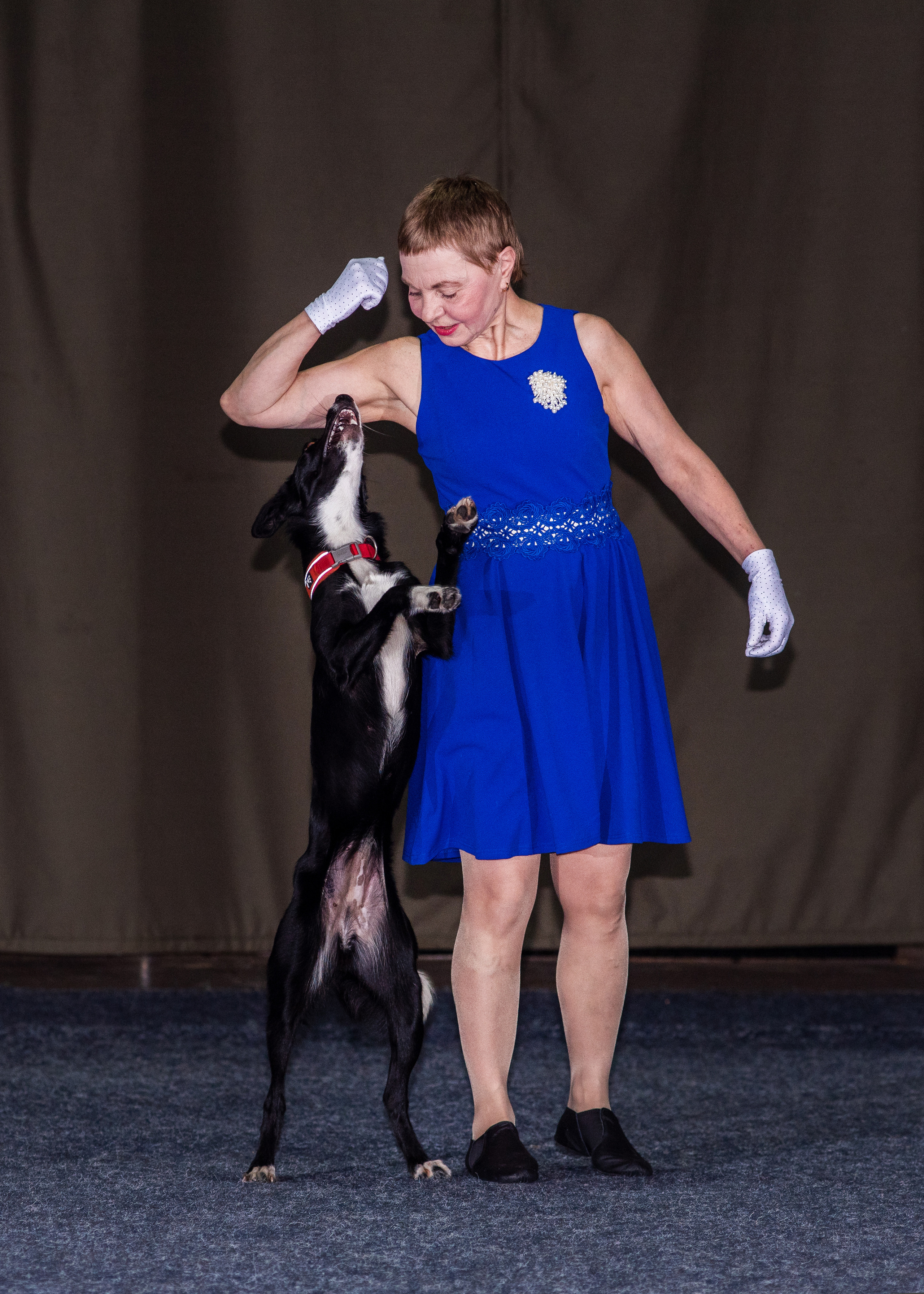 Танцы с собаками!. Дог-фотограф в Тюмени Александра Королева