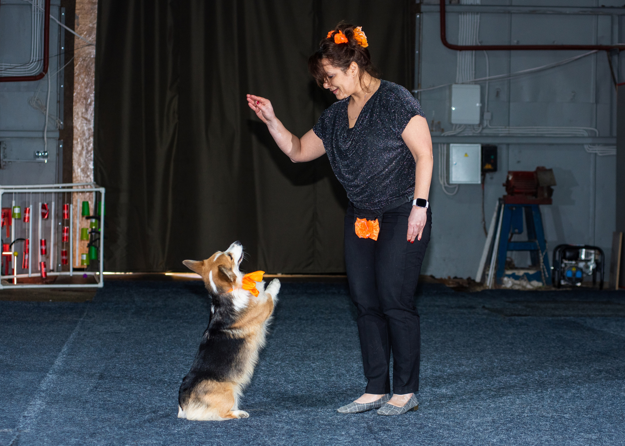 Танцы с собаками!. Дог-фотограф в Тюмени Александра Королева