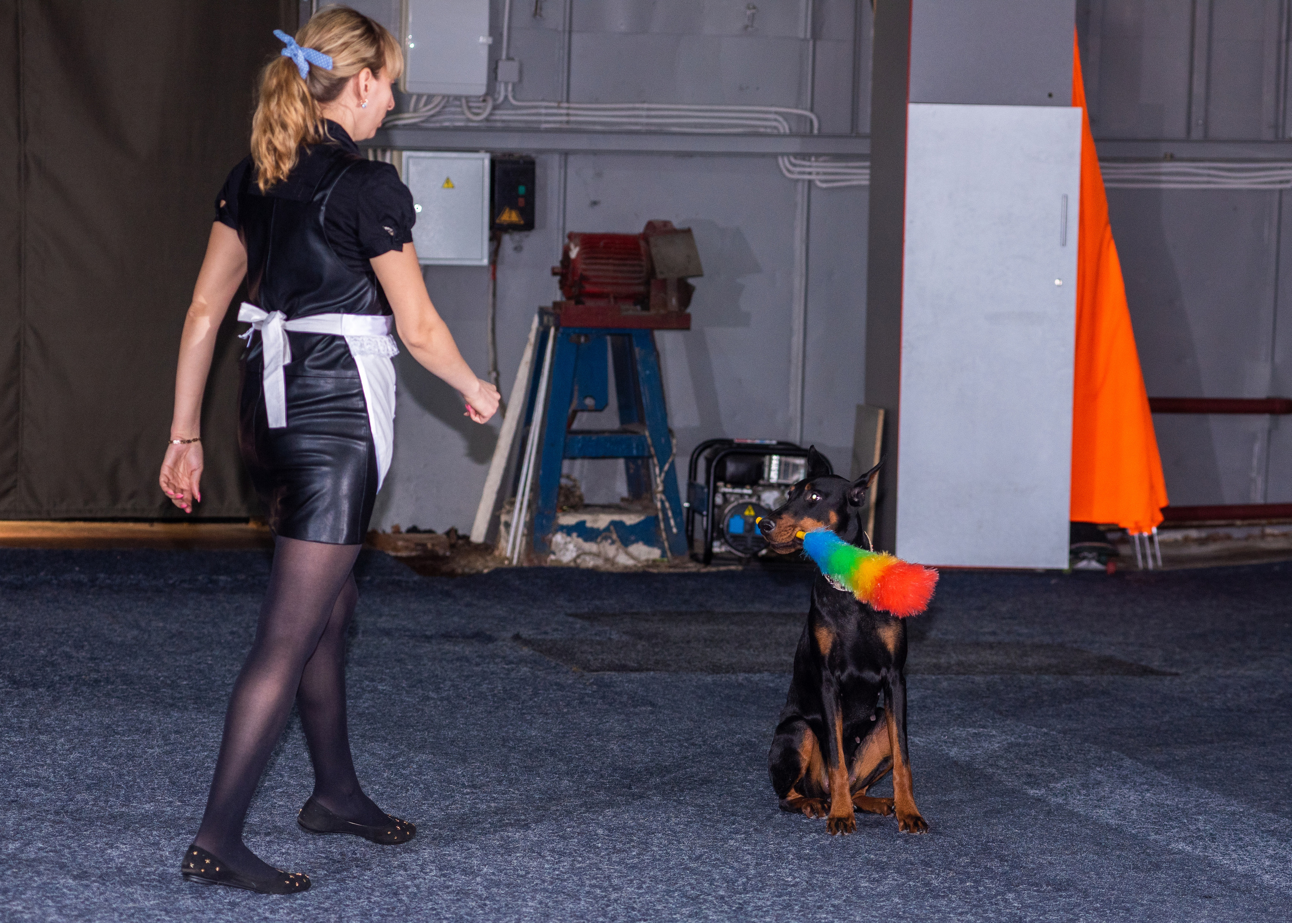 Танцы с собаками!. Дог-фотограф в Тюмени Александра Королева