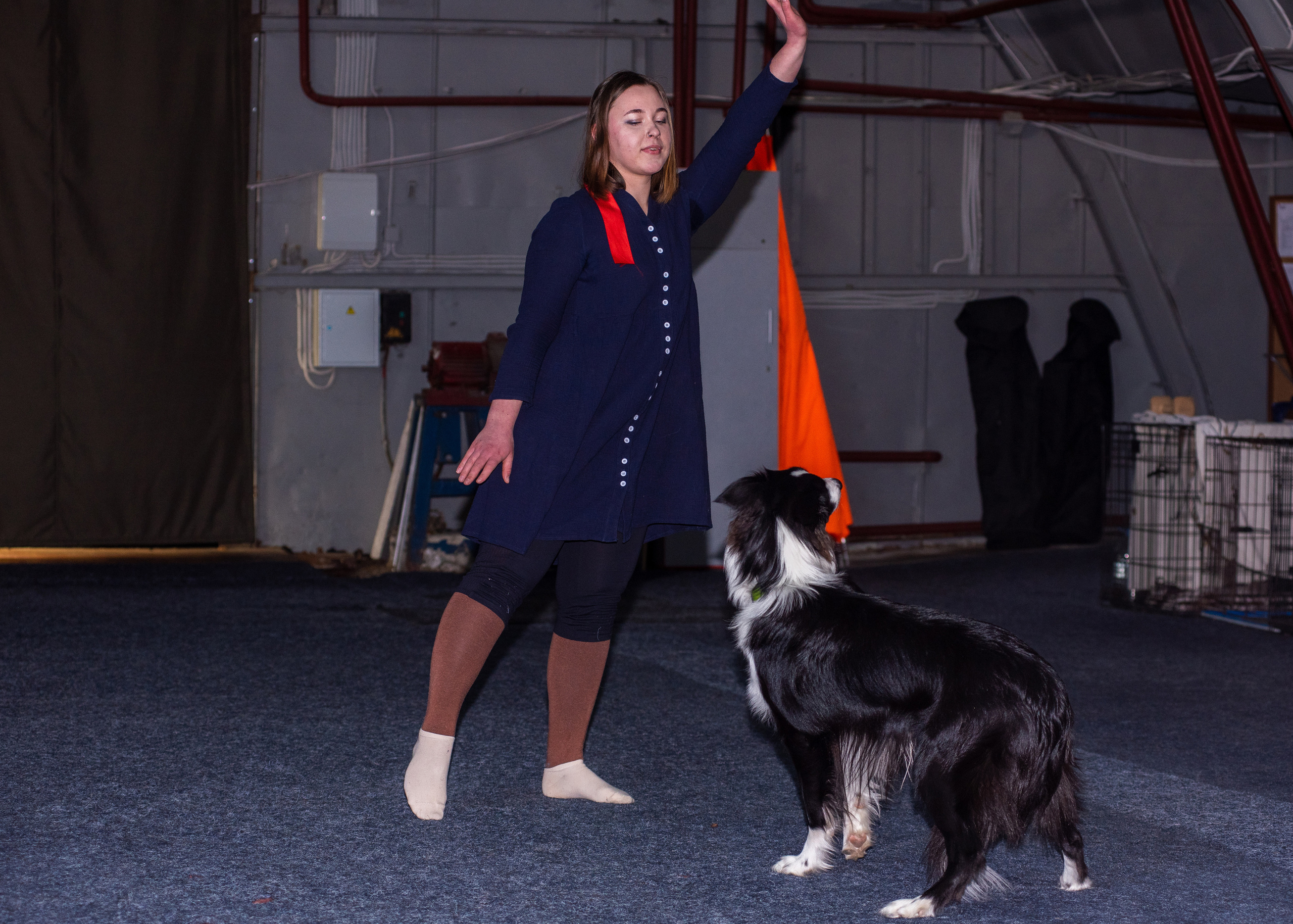 Танцы с собаками!. Дог-фотограф в Тюмени Александра Королева